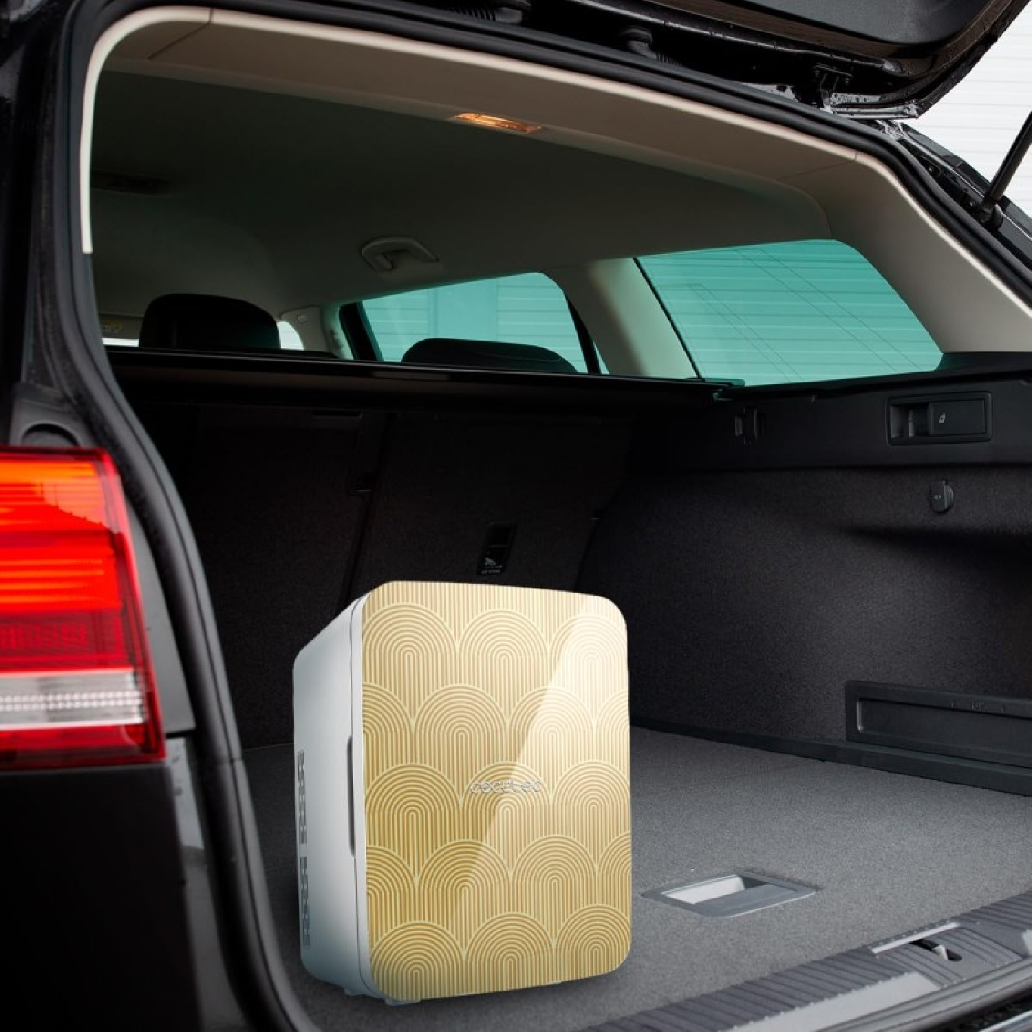 Un pequeño refrigerador con un patrón en el maletero de un coche. El maletero es oscuro.