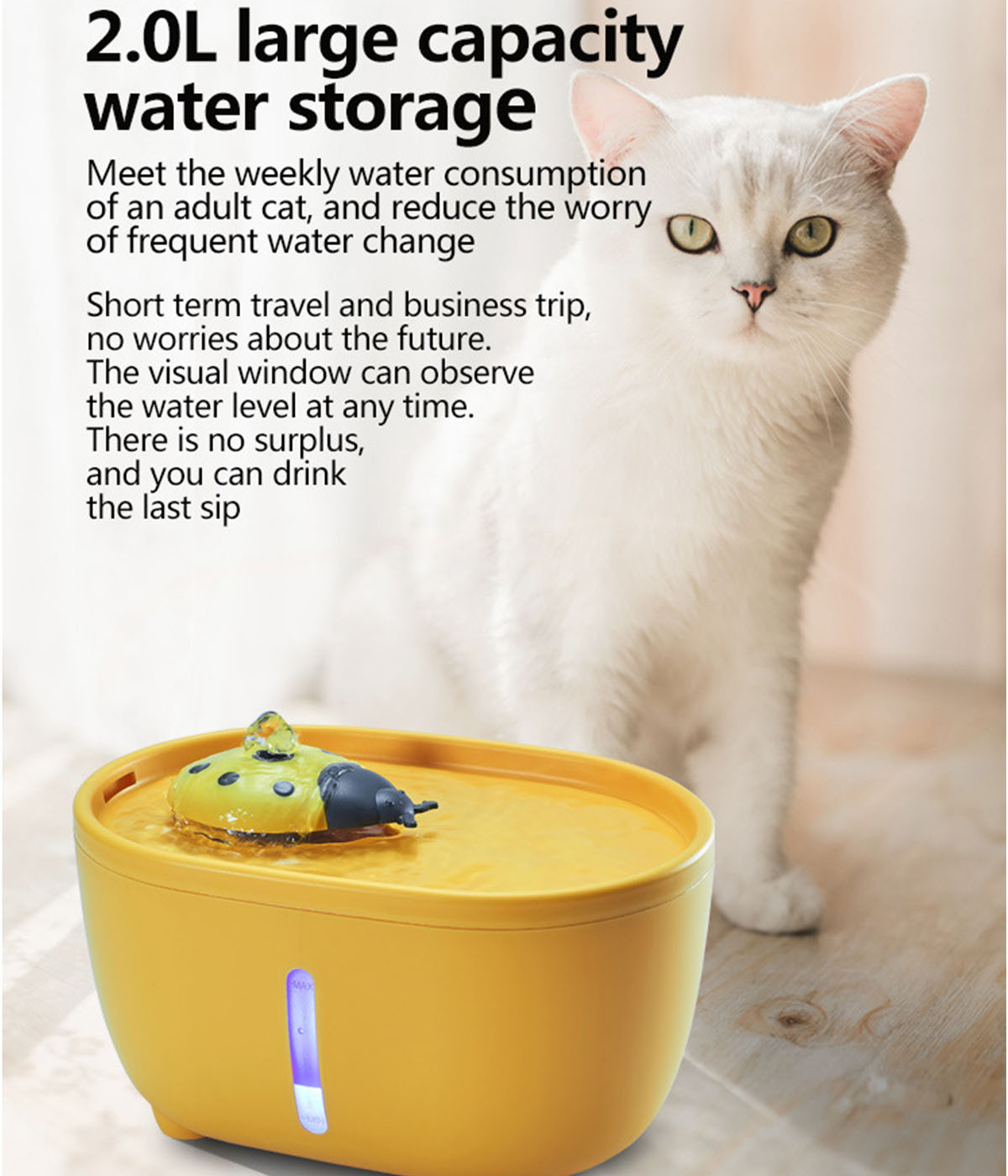 Weiße Katze, die einen gelben Wasserspender mit Marienkäfer-Dekoration betrachtet.