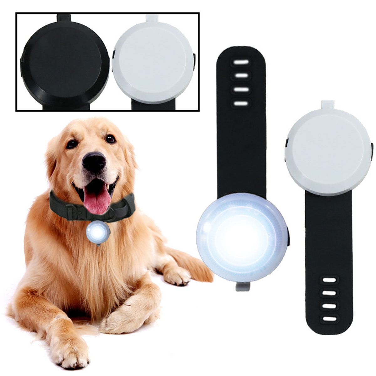 Golden Retriever mit Licht am Halsband. Zwei zusätzliche Lichter werden angezeigt.