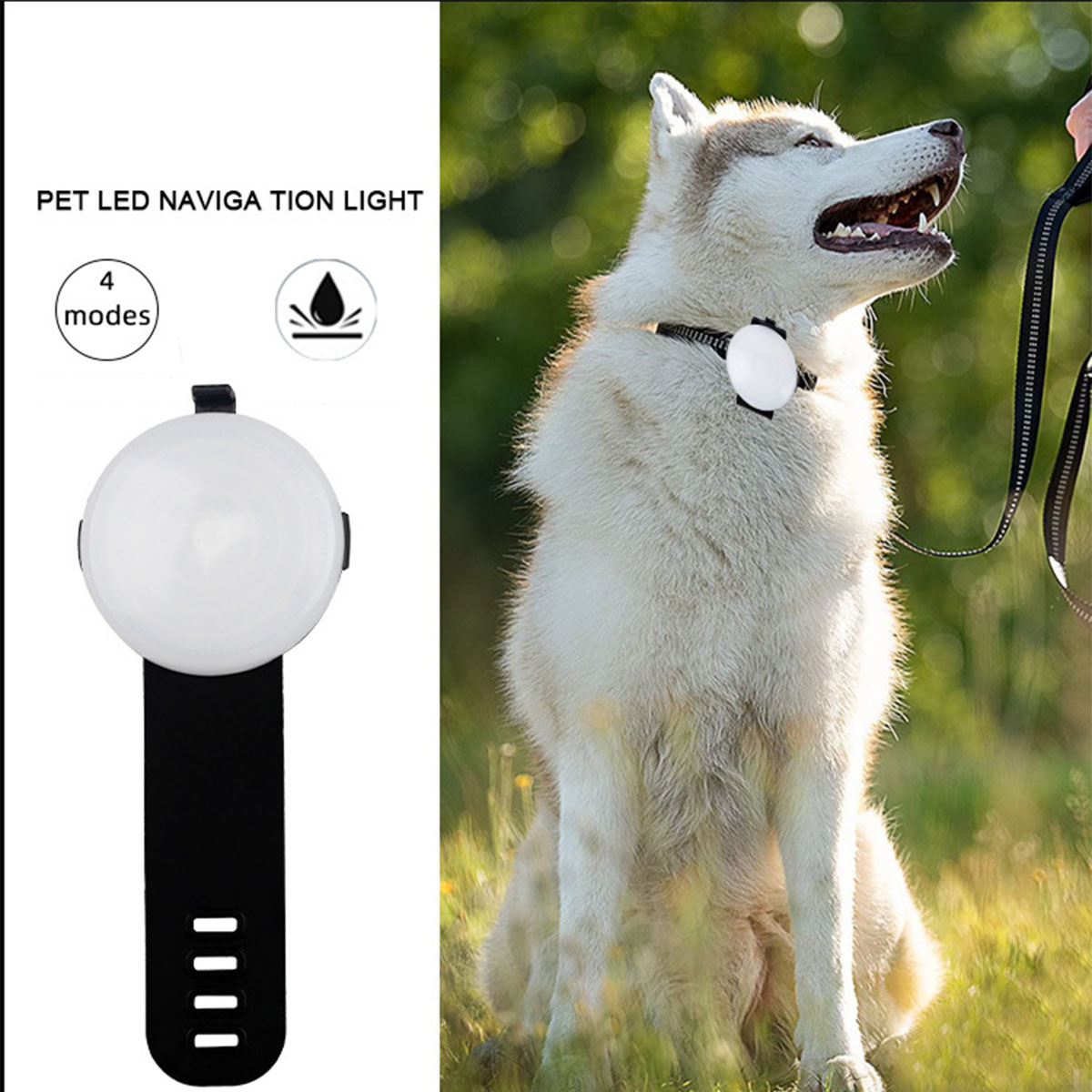 Haustier-Anhänger LED im Dunkeln BRIGHTAKE Vielseitige Sicherheit Maximale - Hundeanhänger