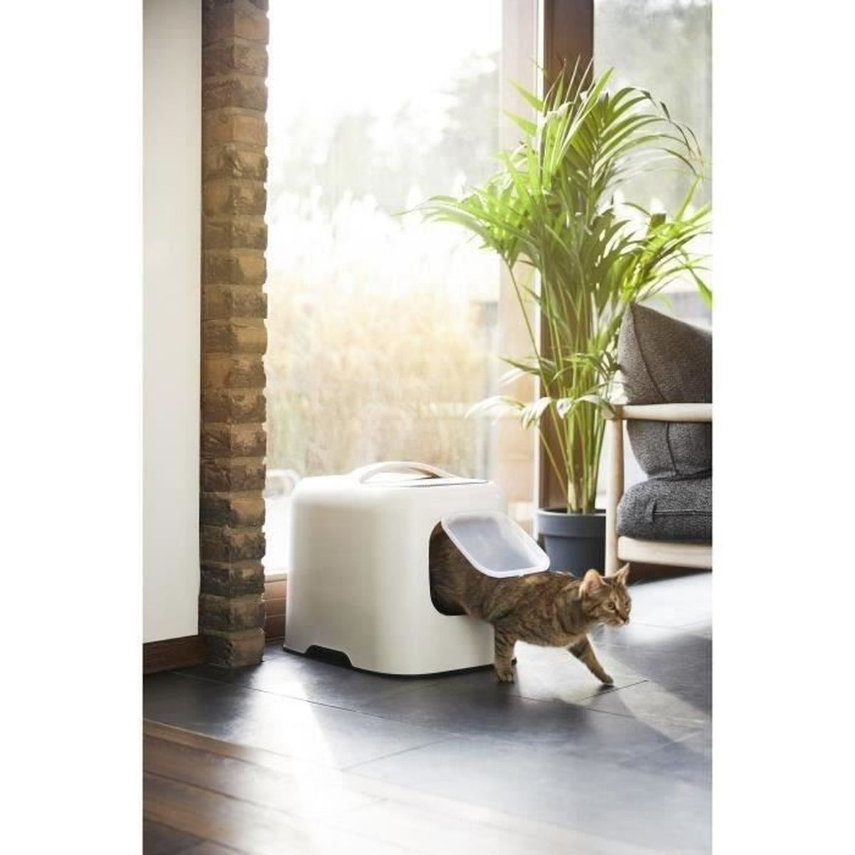 Katze verlässt eine weiße Katzentoilette in einem hellen Raum mit Pflanze und Fenster.