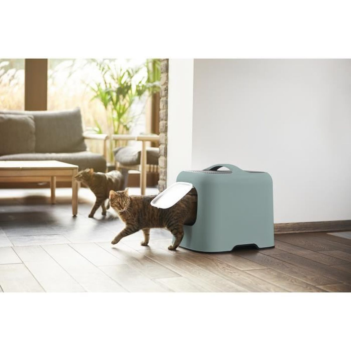 Gatto che esce da una lettiera blu. Un altro gatto sullo sfondo. Ambiente interno con un divano.