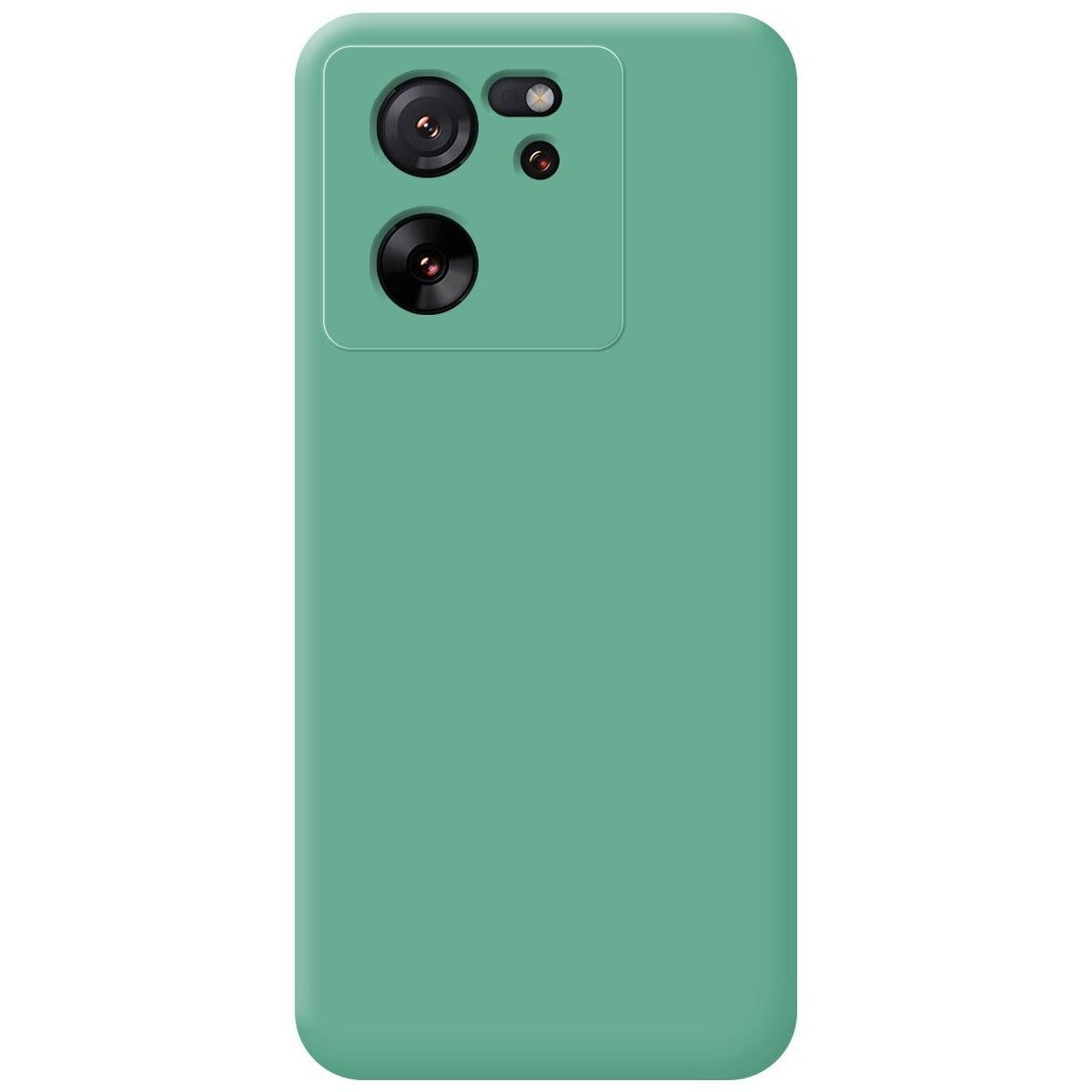 Una custodia per telefono verde menta con un modulo fotocamera nell'angolo in alto a sinistra. Lo sfondo è bianco.