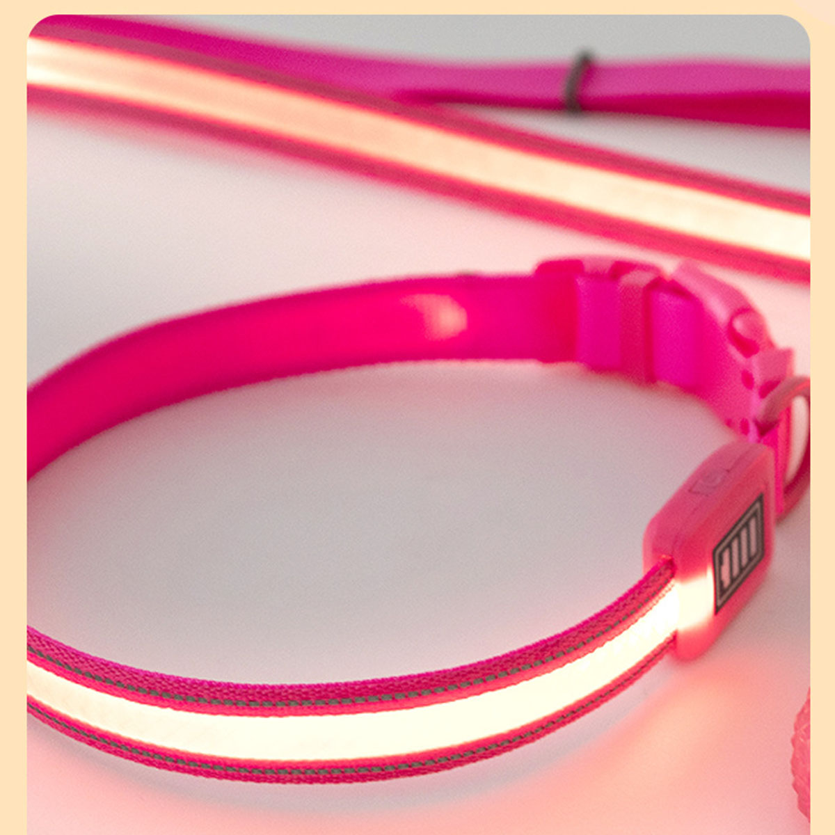 Pinkfarbenes Hundehalsband mit LED-Licht. Das Licht ist eingeschaltet. Nahaufnahme.