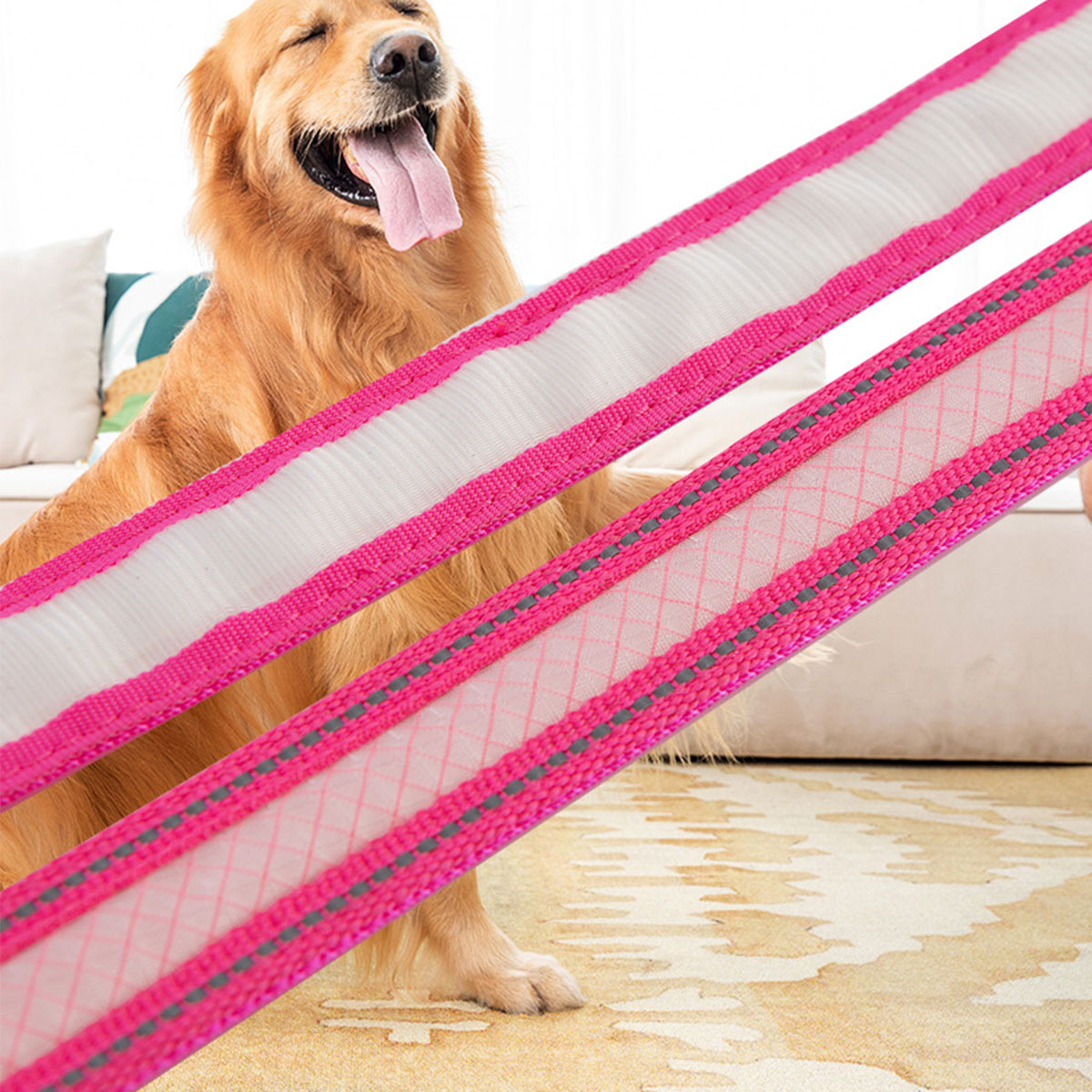 Hundeleine mit rosa und weißem Muster. Der Hund ist ein Golden Retriever mit herausgestreckter Zunge.
