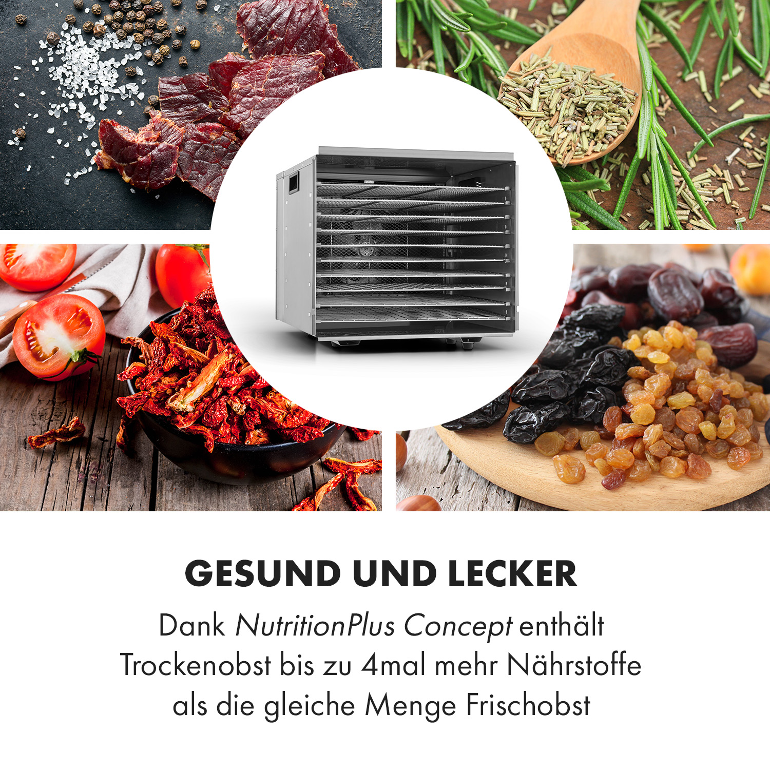Ein Dörrautomat mit verschiedenen getrockneten Lebensmitteln: Jerky, Tomaten, Kräuter, Rosinen und Pflaumen.