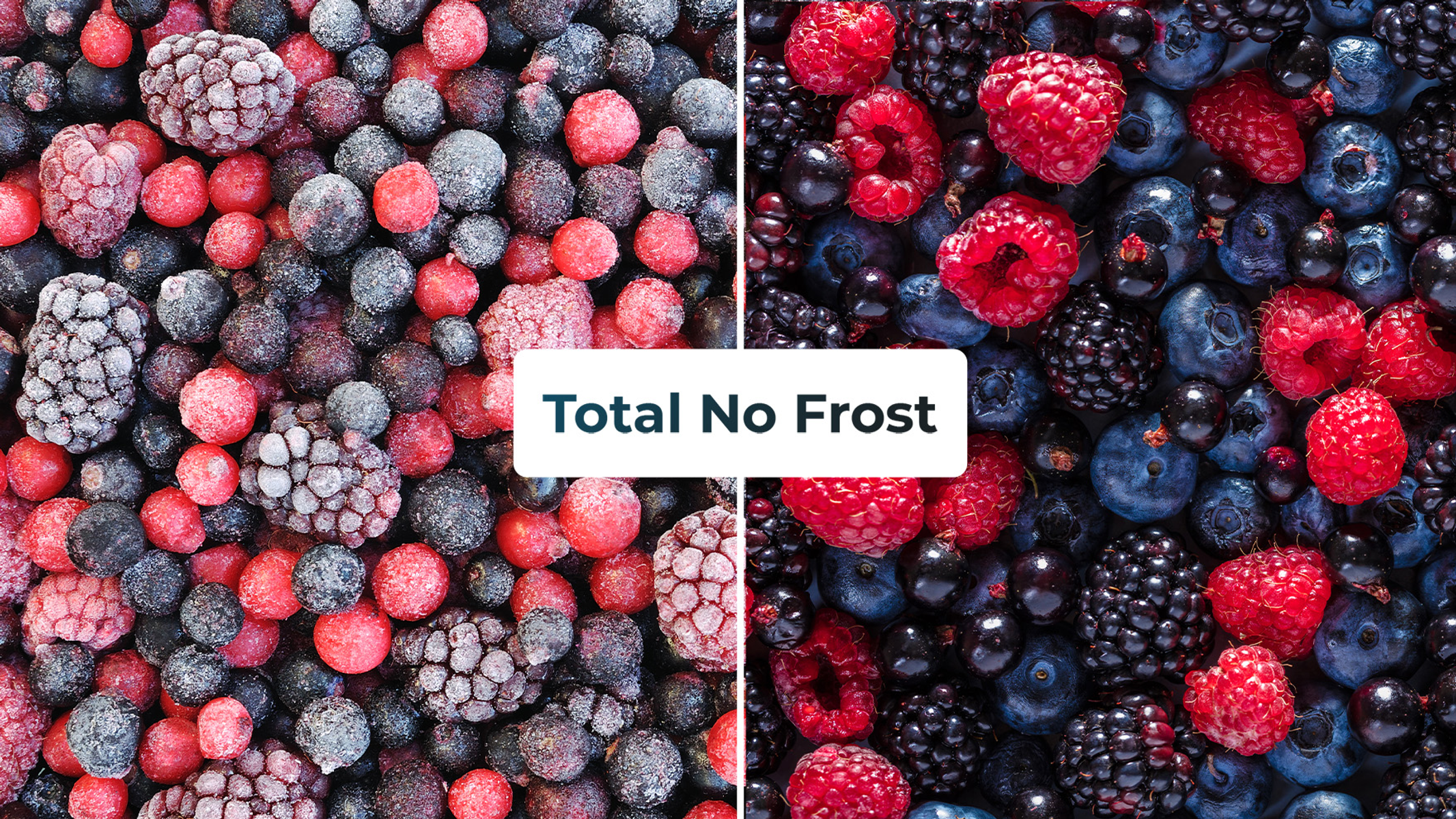 Mrożone jagody, podzielone. Lewa strona: oszronione czerwone i ciemne jagody. Prawa strona: świeże czerwone, niebieskie i czarne jagody.