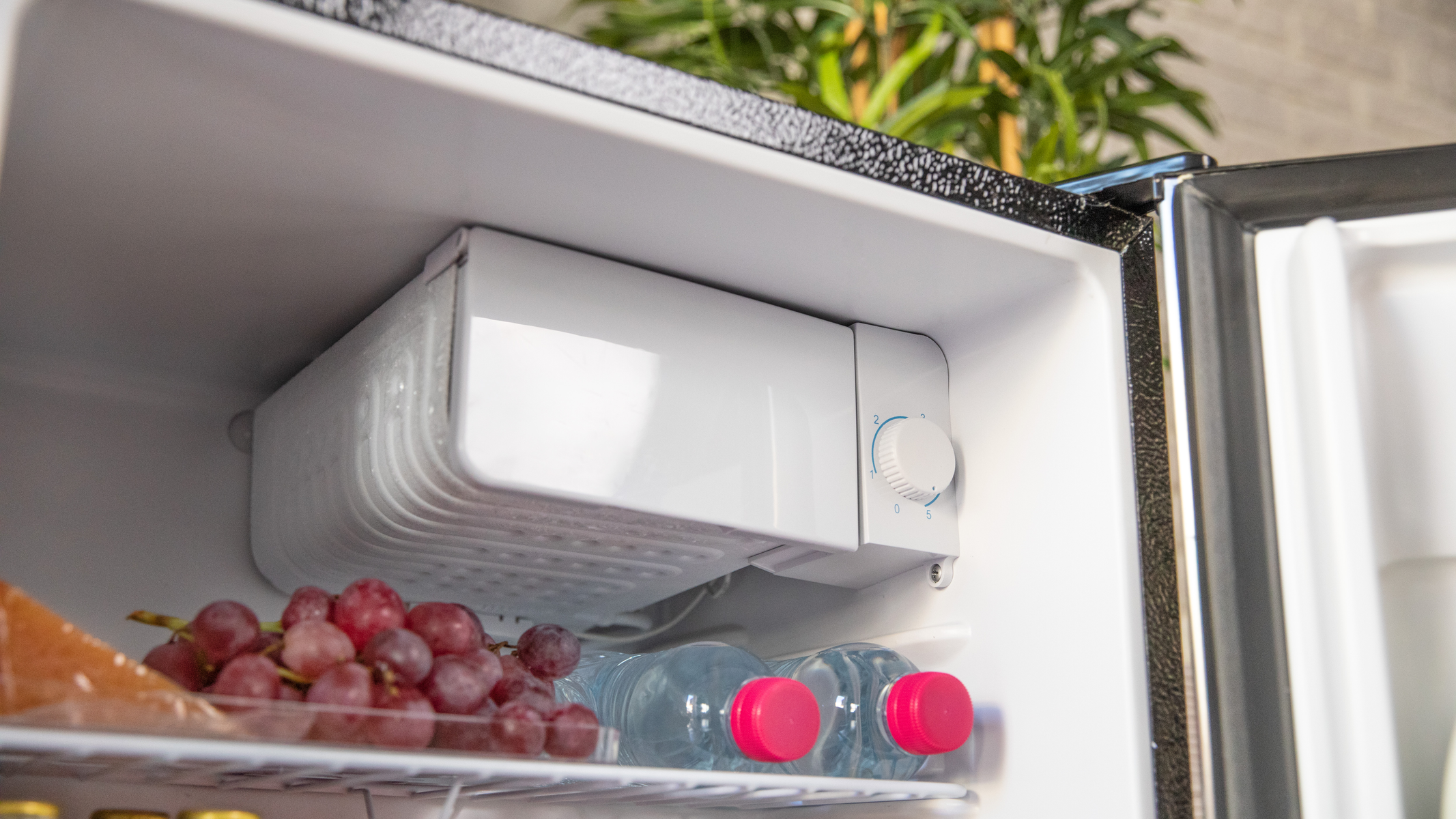 All'interno di un mini-frigo, c'è una macchina per il ghiaccio bianca, uva e bottiglie d'acqua con tappi rosa.