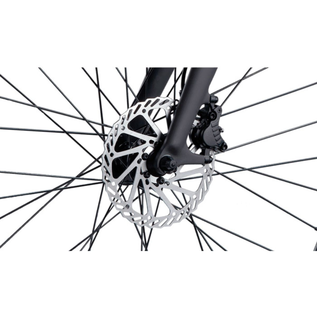 Primo piano di una ruota di bicicletta con freno a disco argentato e raggi neri.