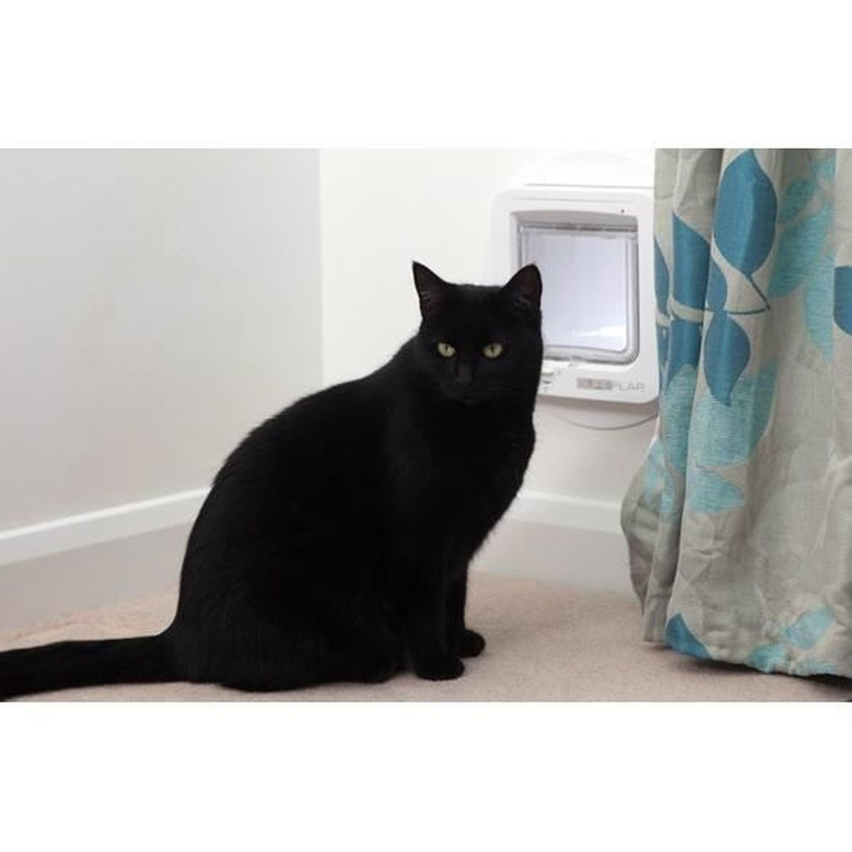 Eine schwarze Katze sitzt in der Nähe einer Katzenklappe in einer weißen Wand neben einem gemusterten Vorhang.