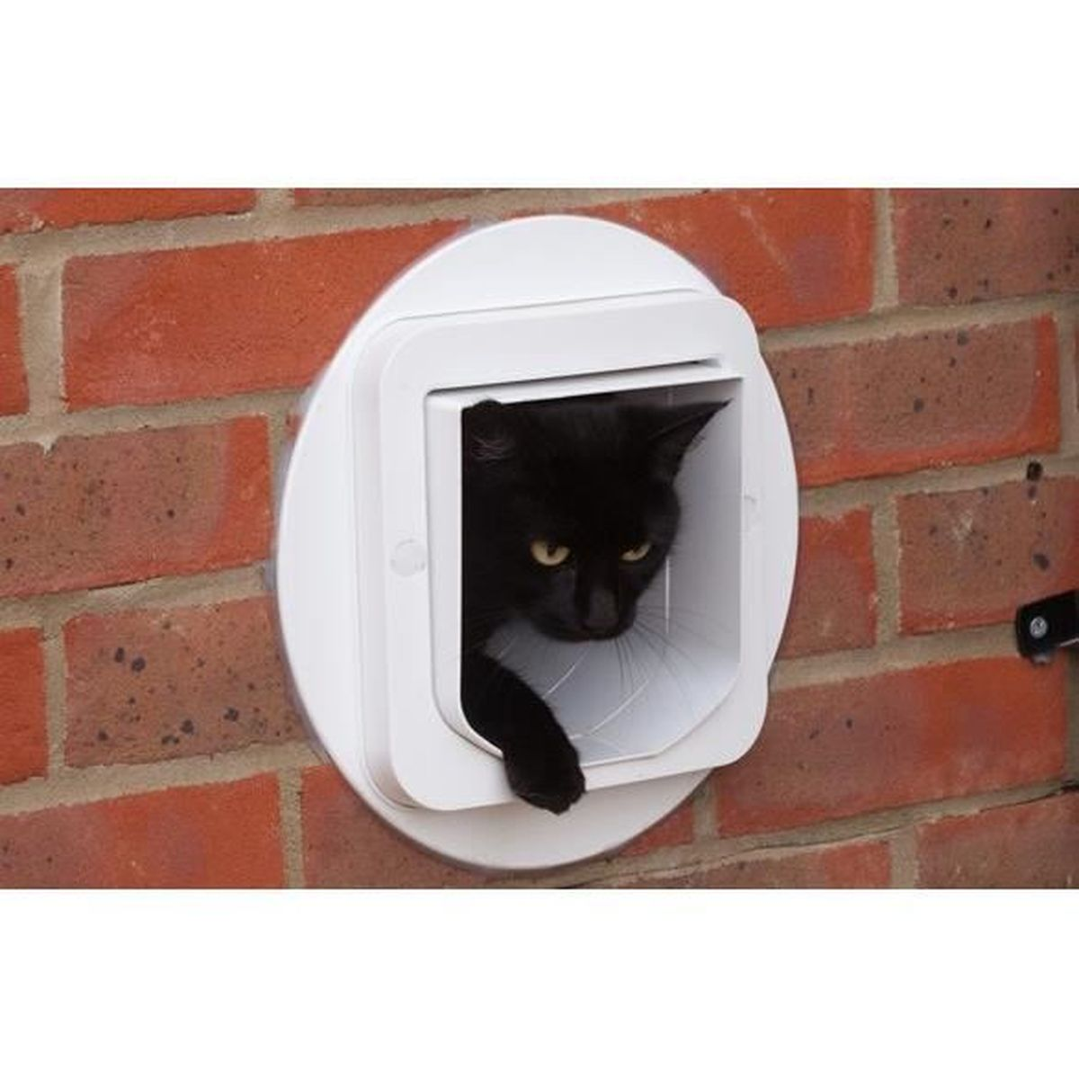 Eine schwarze Katze, die aus einer weißen Katzenklappe in einer Ziegelmauer herausschaut.