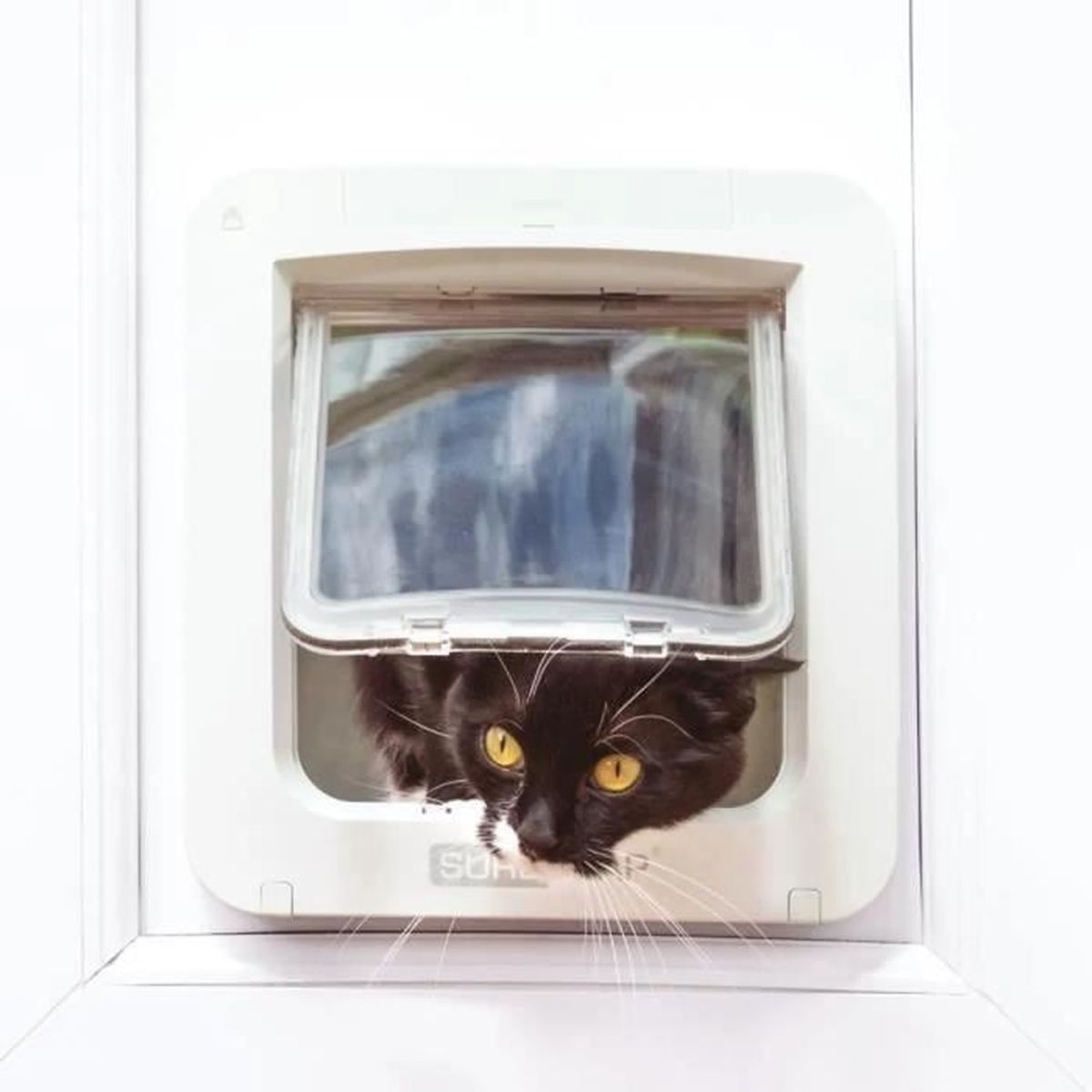 Eine schwarz-weiße Katze schaut durch eine weiße Katzentür.