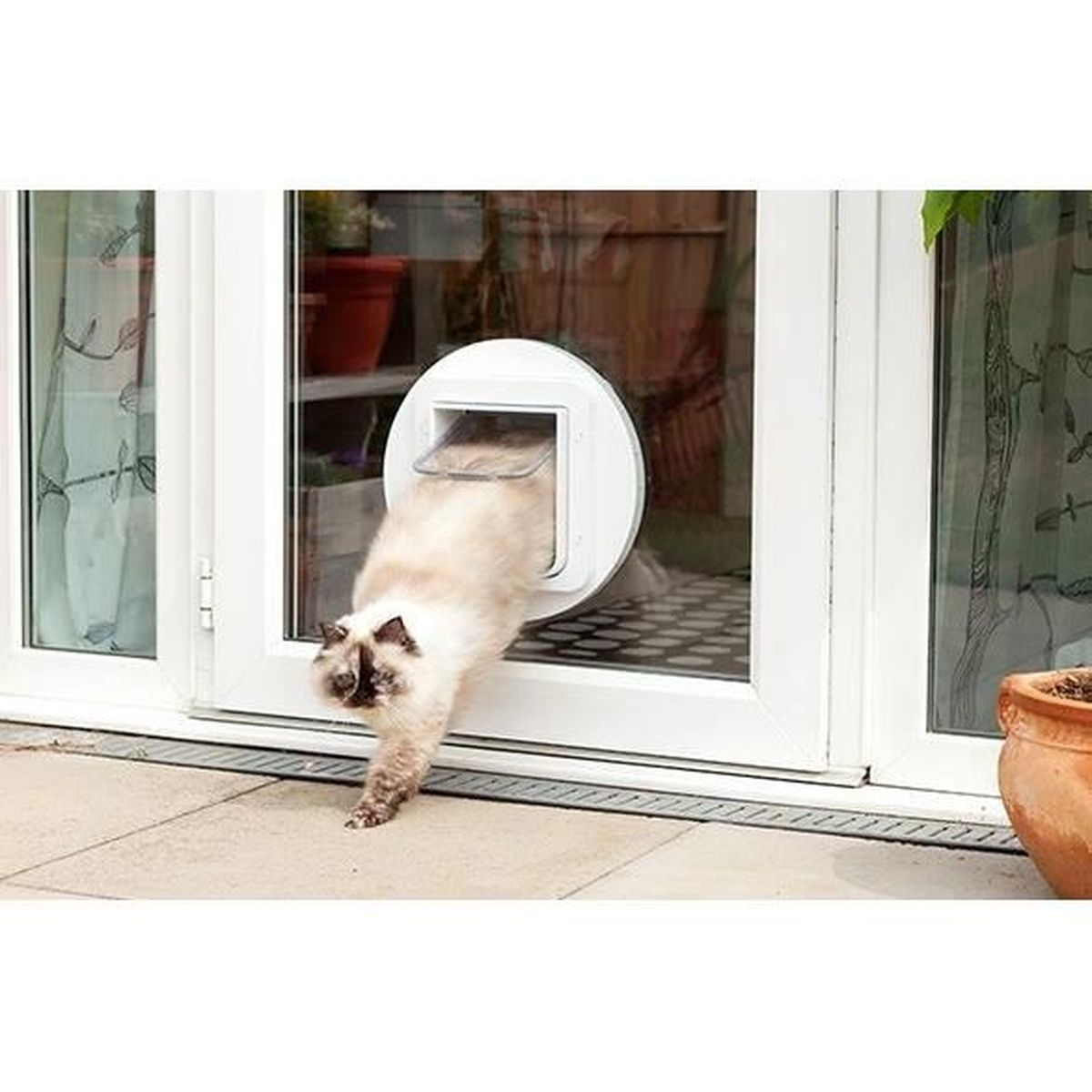 Eine Katze kommt durch eine Katzenklappe in einer Glastür.