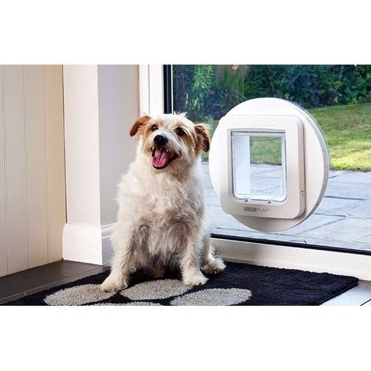 Hund sitzt vor einer Hundetür in einer Glastür.
