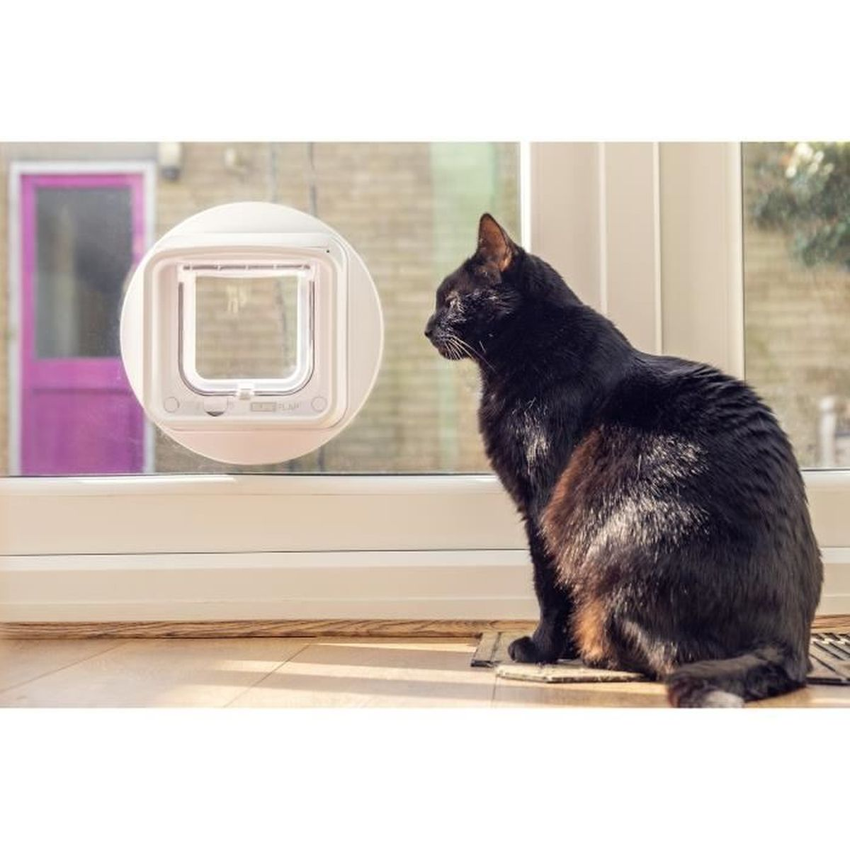 Eine schwarze Katze sitzt in der Nähe einer weißen Katzentür in einer Glastür. Die Katze schaut zur Tür.