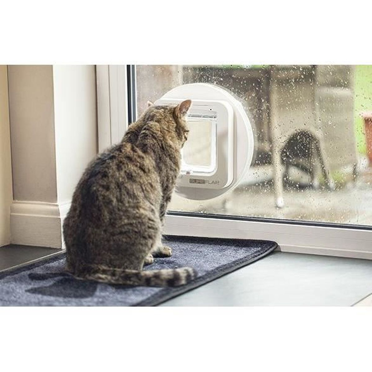 Eine getigerte Katze blickt durch eine Katzentür in einer Glastür, mit einer Matte darunter.
