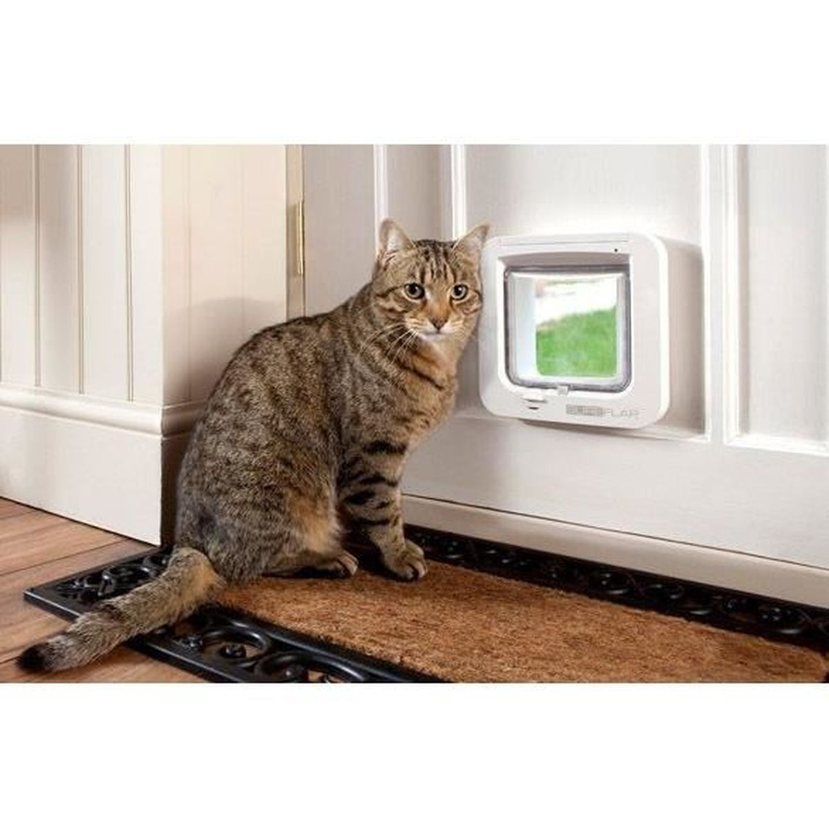 Katze sitzt an einer Katzenklappe in einer weißen Tür. Die Tür ist offen.