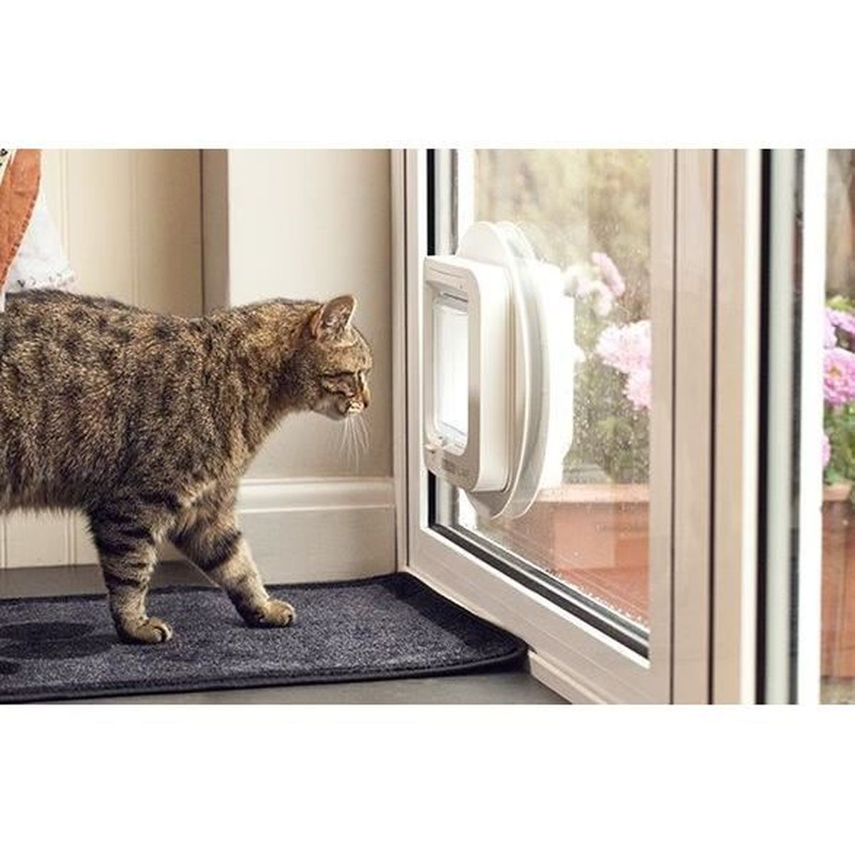 Eine Katze schaut auf eine Katzenklappe, die in einer Glastür installiert ist.