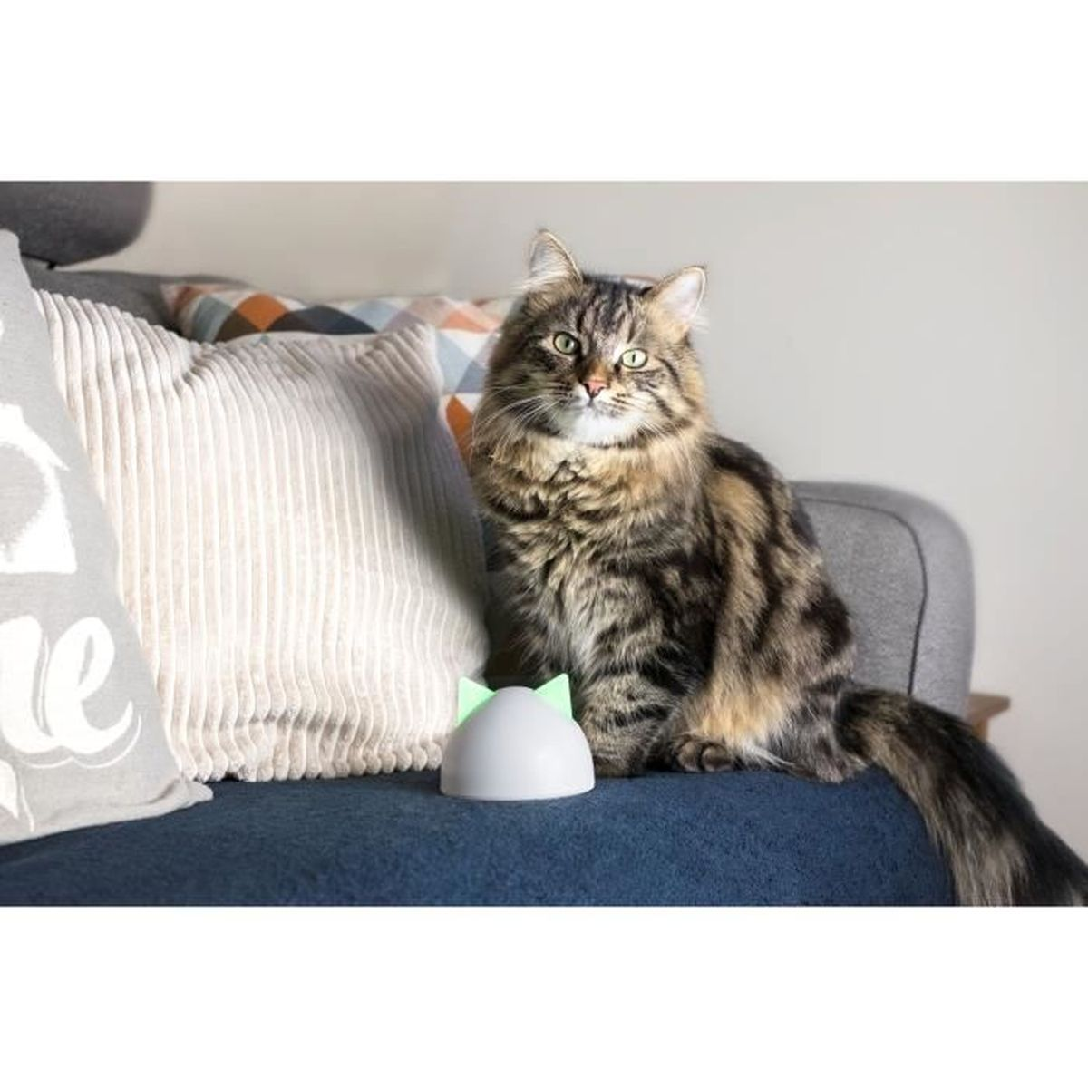 Eine flauschige getigerte Katze sitzt auf einem blauen Sofa, mit einem katzenförmigen Nachtlicht in der Nähe.