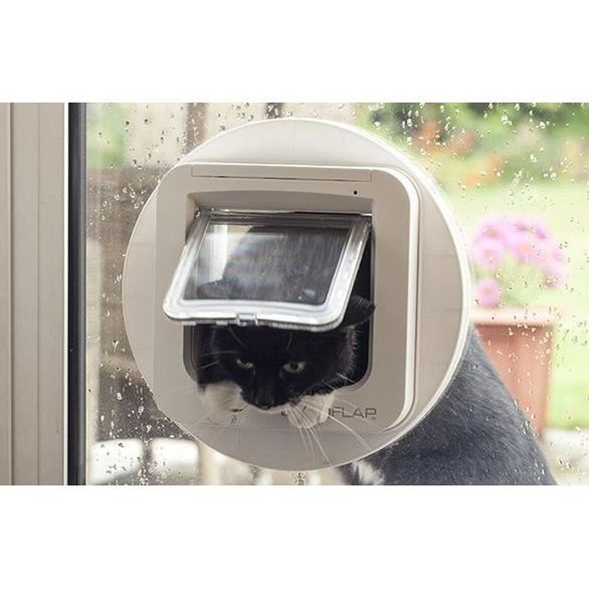 Eine schwarz-weiße Katze schaut durch eine Katzenklappe in einem Fenster. Das Fenster ist klares Glas.
