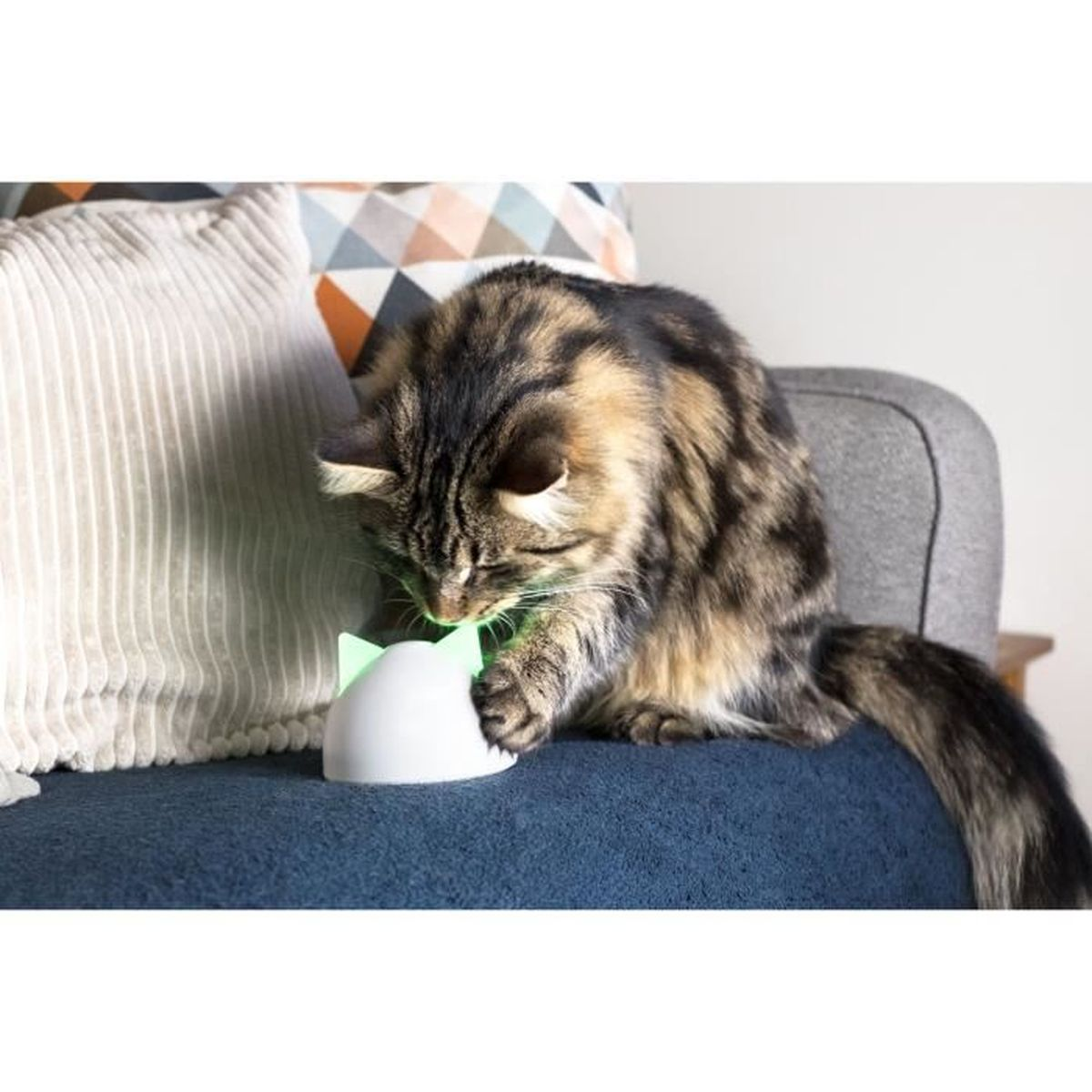 Eine Katze spielt mit einem katzenförmigen Laser-Spielzeug. Die Katze ist braun und schwarz gestreift.