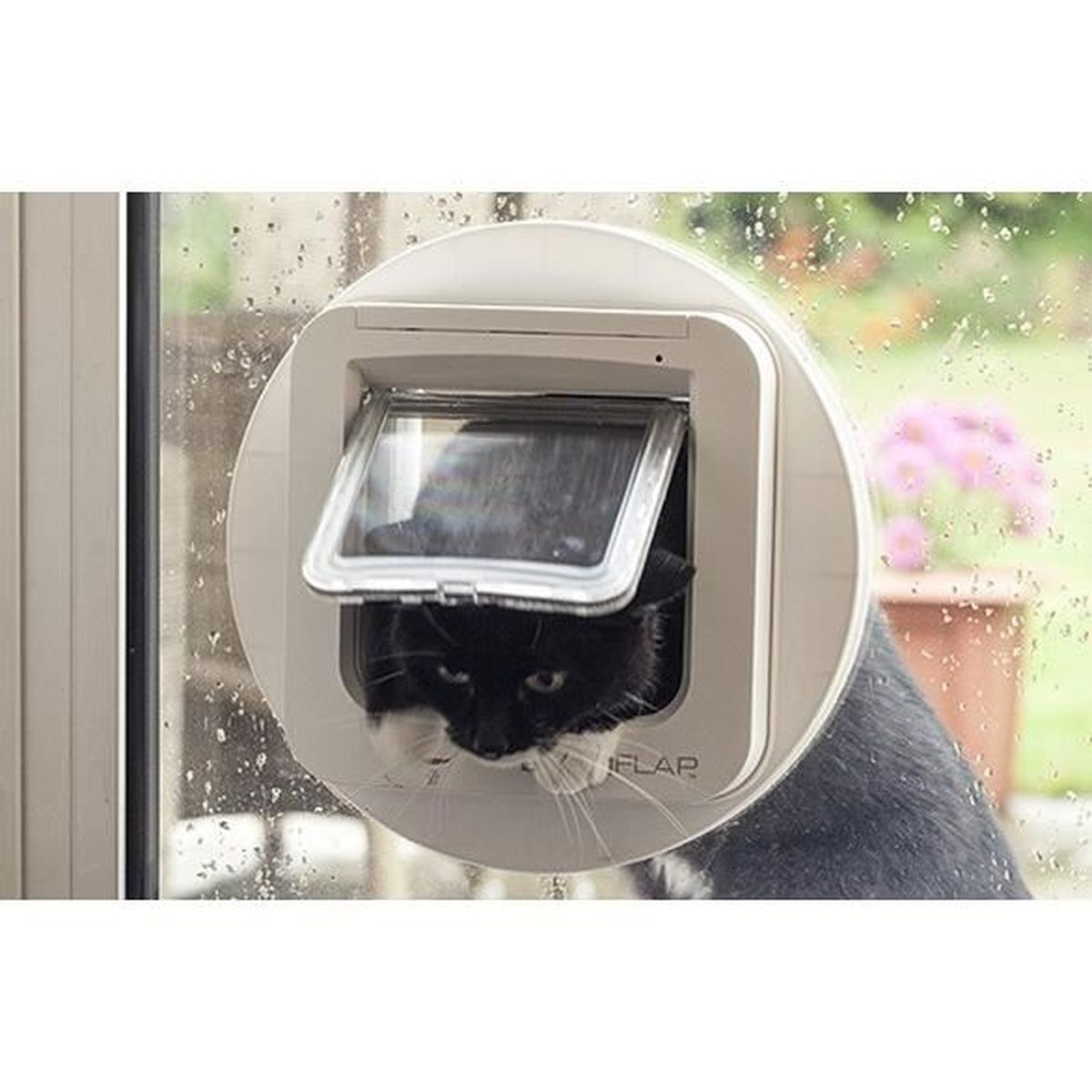 Eine schwarz-weiße Katze blickt aus einer Katzenklappe in einem Fenster.