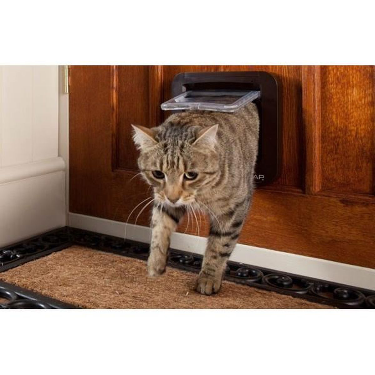 Eine Katze kommt aus einer Katzentür, die in einer Holztür installiert ist.