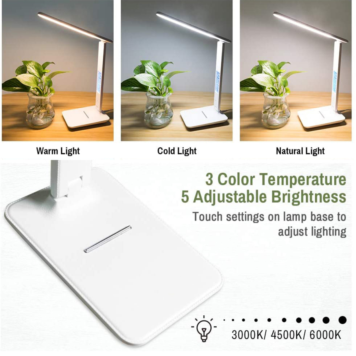 Drei Lampen, die warmes, kaltes und natürliches Licht zeigen. Ein weißer Sockel mit Berührungseinstellungen und eine Pflanze in einem Glas.