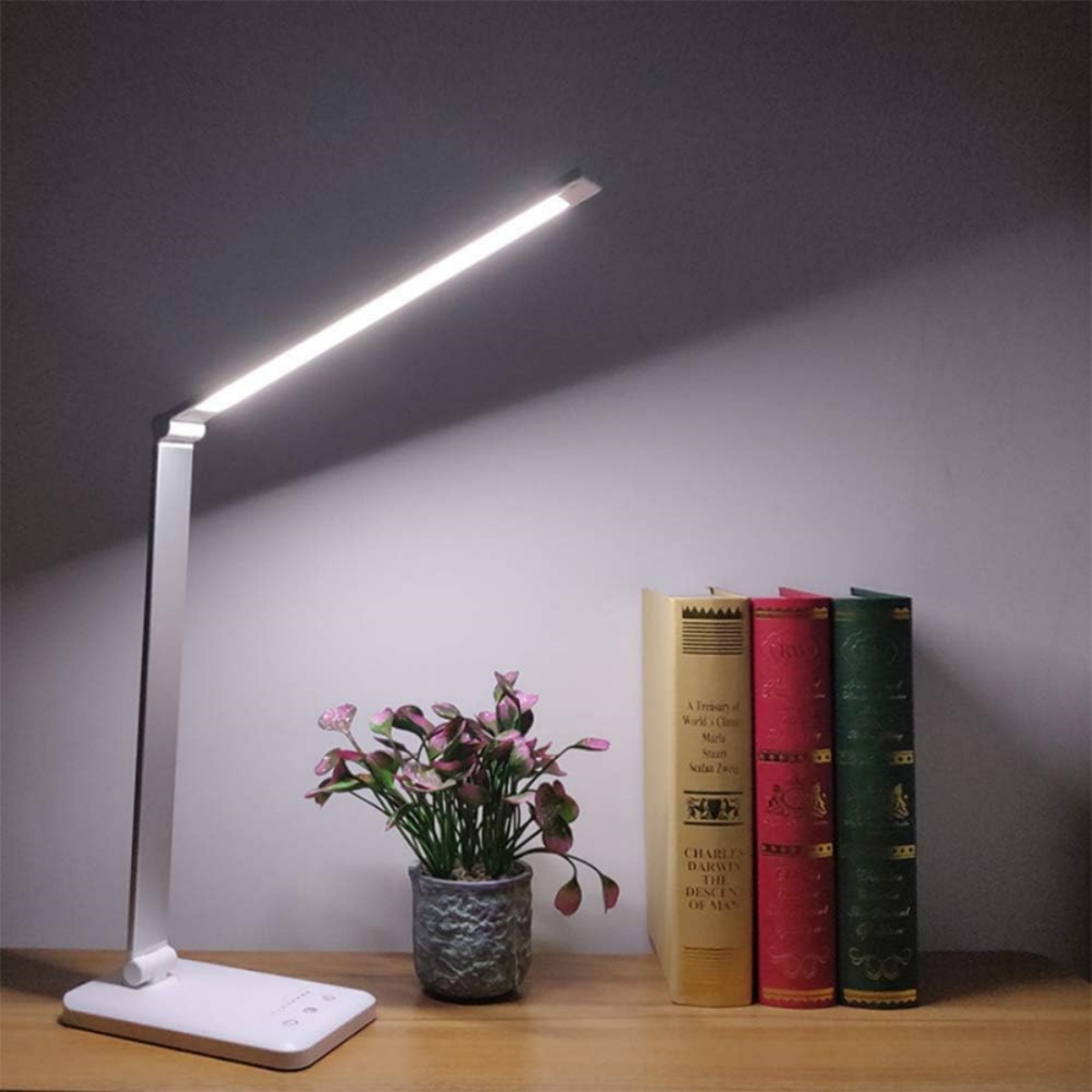 Eine moderne Schreibtischlampe beleuchtet Bücher und einen kleinen Blumentopf. Der Hintergrund ist eine Wand.