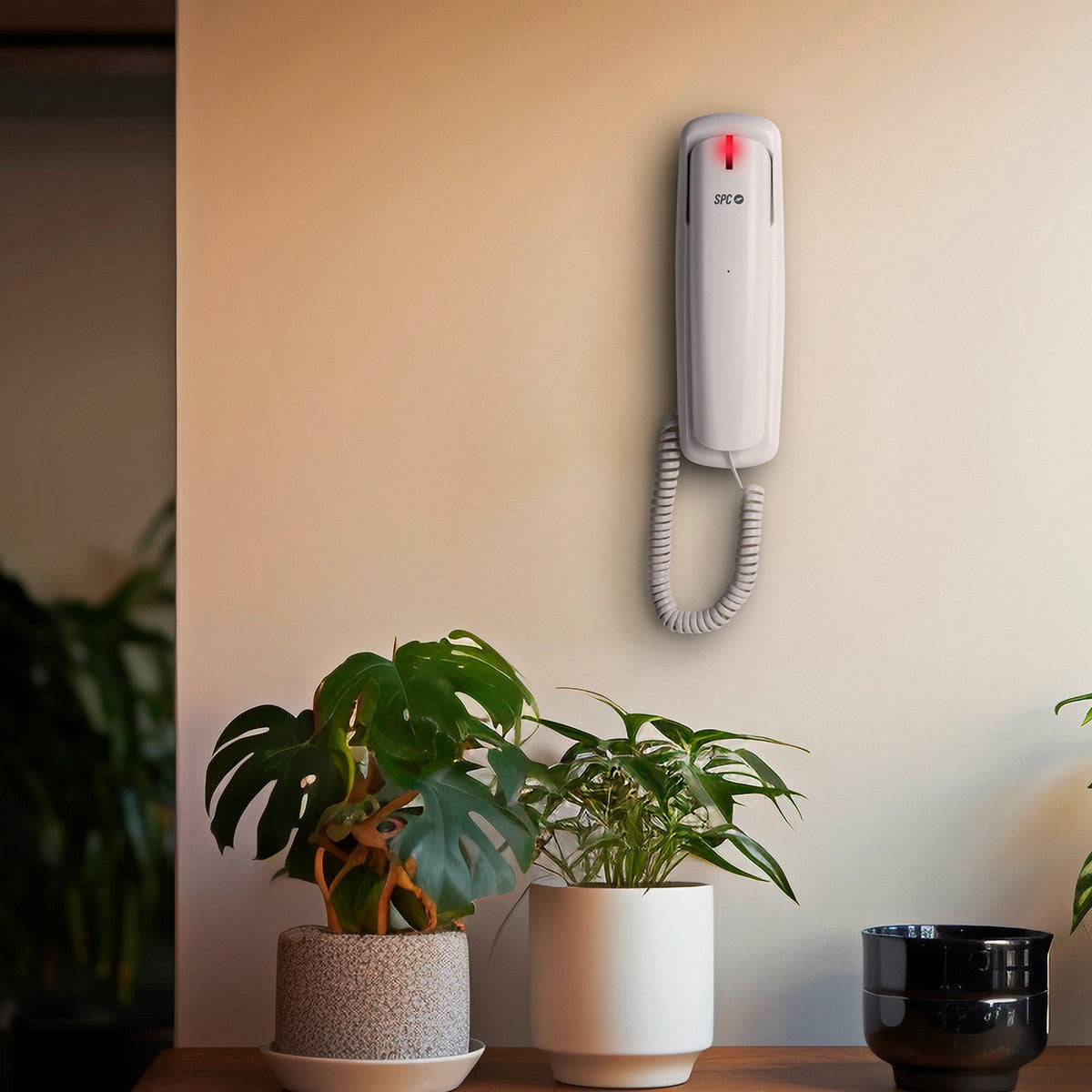 Teléfono de pared blanco. Plantas en macetas sobre una superficie de madera debajo.