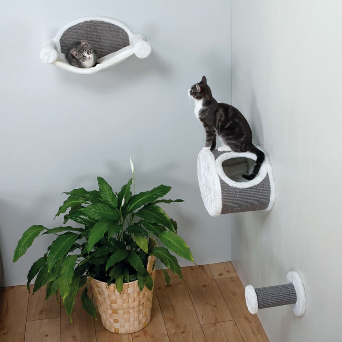 Zwei Katzen auf Katzenmöbeln: eine in einer Hängematte, die andere auf einer Wandplattform.