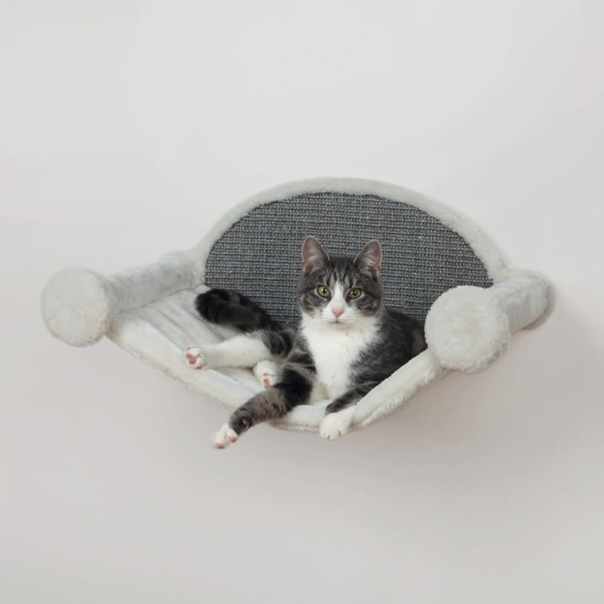Eine grau-weiße Katze ruht in einem an der Wand befestigten Katzenbett. Die Katze blickt zur Kamera.