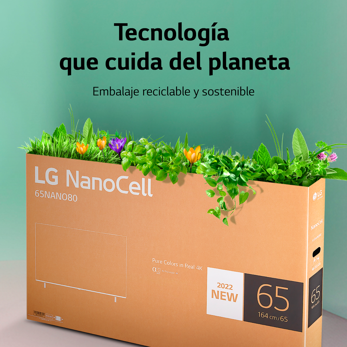 Karton z roślinami i tekstem: 'Tecnología que cuida del planeta'. Pudełko pokazuje TV.