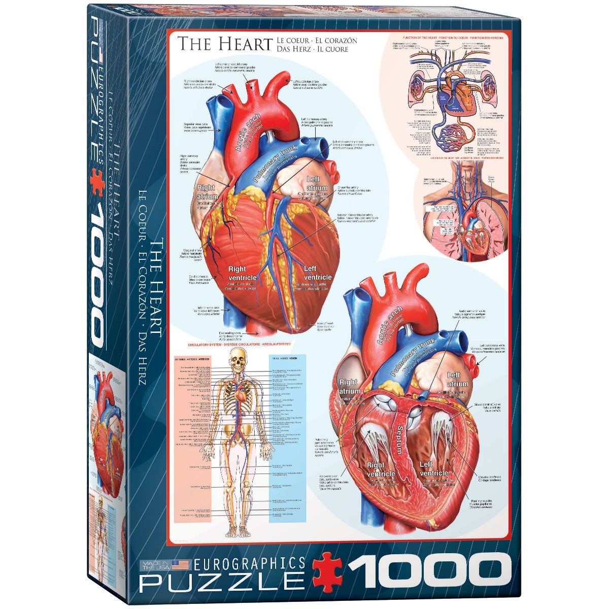 EUROGRAPHICS puzzle - Das Puzzle Teile 1000 Herz