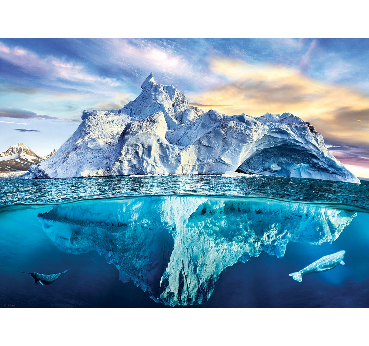 Arktis Planeten! (1000) EUROGRAPHICS Puzzle den Rette