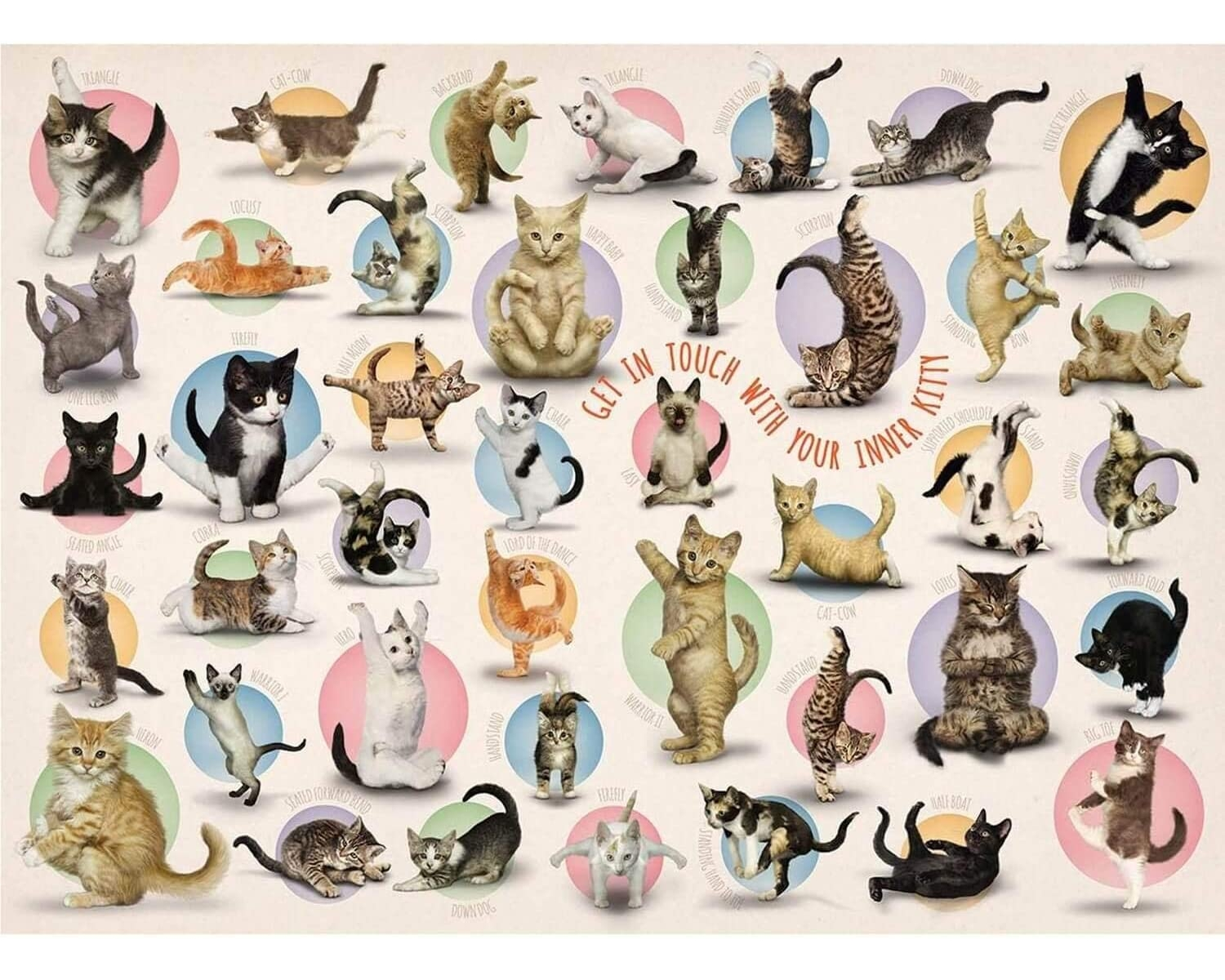 Puzzle Yoga EUROGRAPHICS 500 Kittens - Teile Puzzle