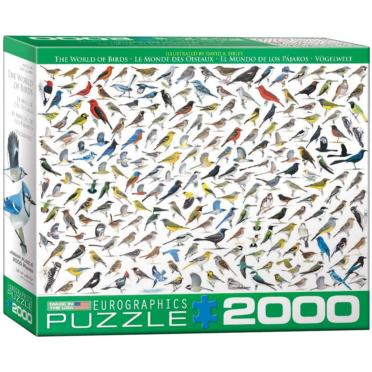 EUROGRAPHICS Die (2000) Puzzle der Vögel Welt