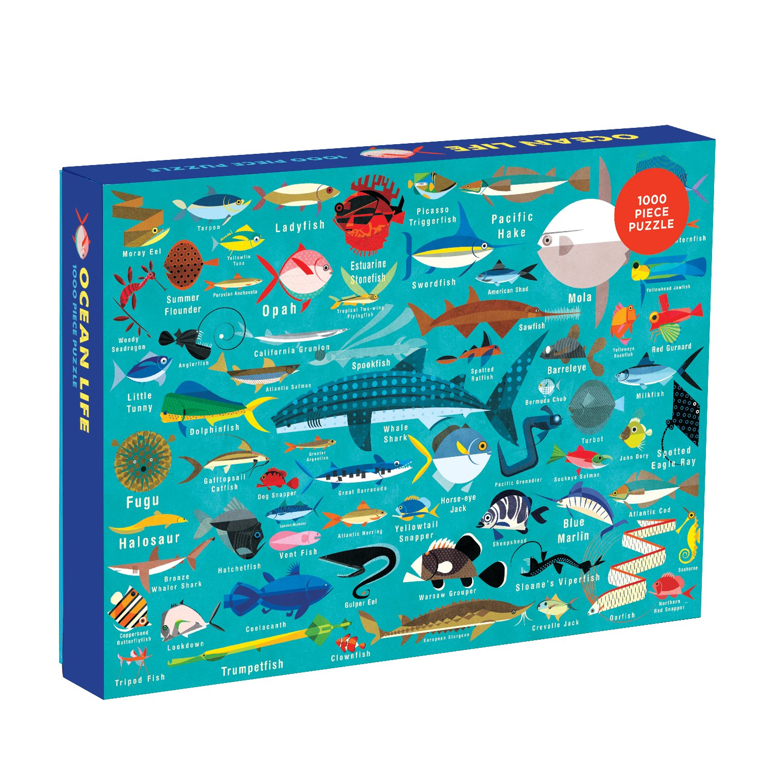 BRANDLESS Ocean Life Puzzle 1000 Puzzle Puzzle: [Misc. Family Piece Jigsaw 1000 and Daviz, Puzzle: Piece P Supplies