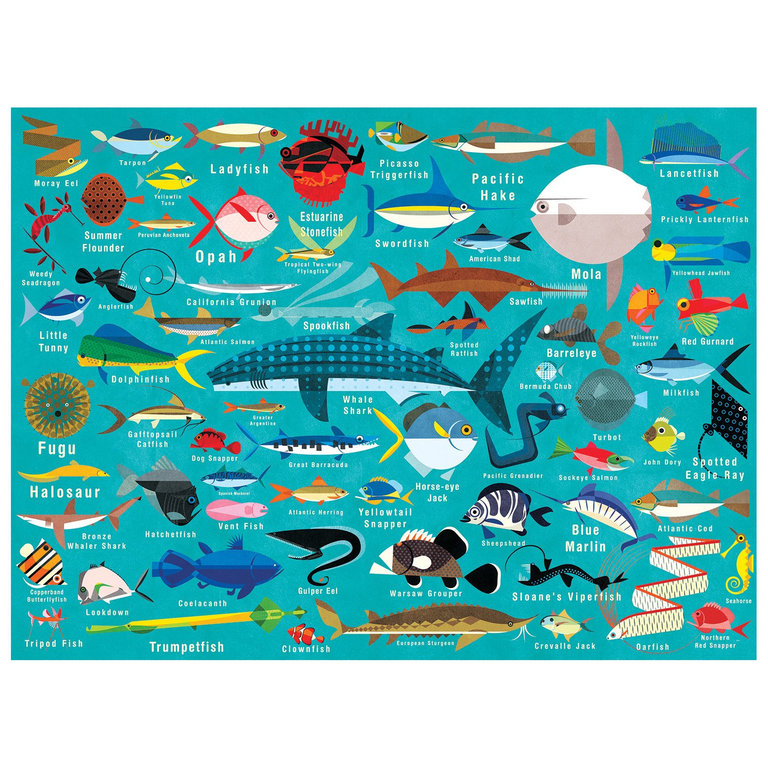 BRANDLESS Ocean Life Puzzle: 1000 Puzzle Puzzle: Supplies] Puzzle Piece Family 1000 Jigsaw P [Misc. and Piece Daviz