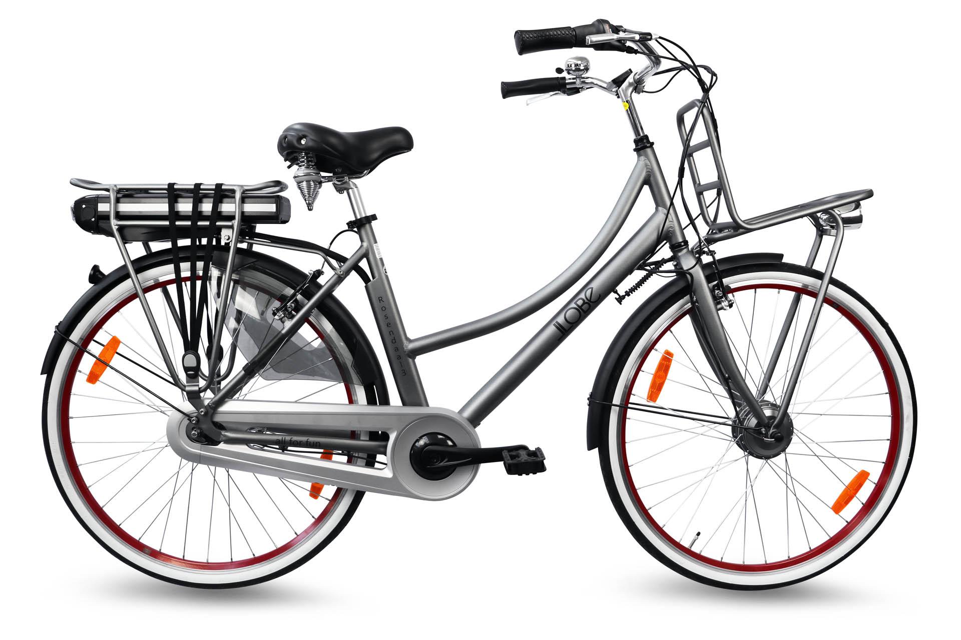3 Citybike 36V cm, Lady LLOBE grau (Laufradgröße: Rosendaal Grau) Rahmenhöhe: 28\