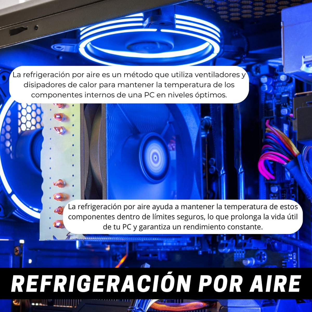 Componenti del computer con testo. Illuminazione blu e ventole visibili.