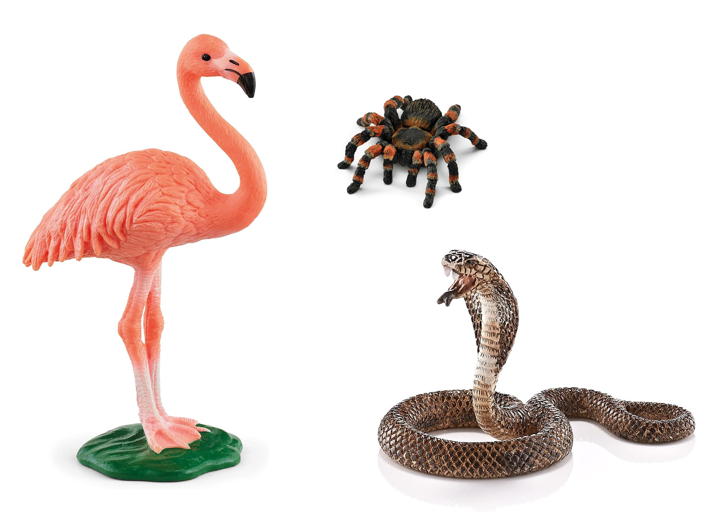 Rosa Flamingo, Spinne und eine Schlange. Weißer Hintergrund.