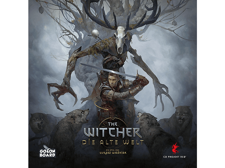 The Witcher rpg Livro De rpg Devir DVRTG0001 na Americanas Empresas