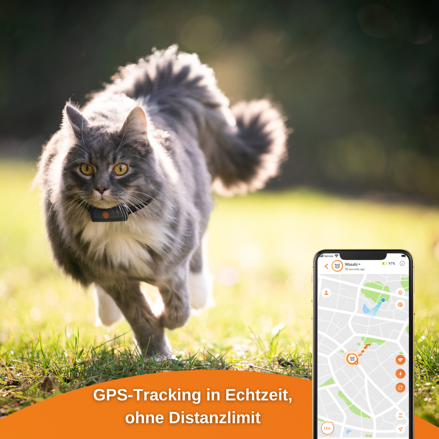 WEENECT Cat Tracker GPS für Katze XS