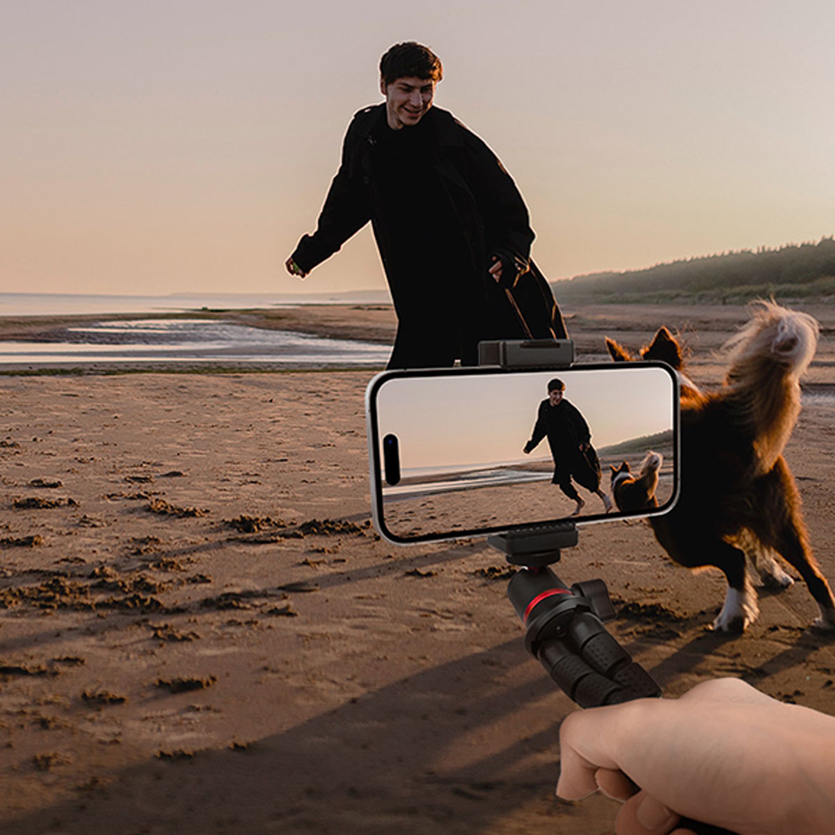 Eine Person filmt einen Hund, der am Strand rennt, mit einem auf einem Stativ montierten Telefon.