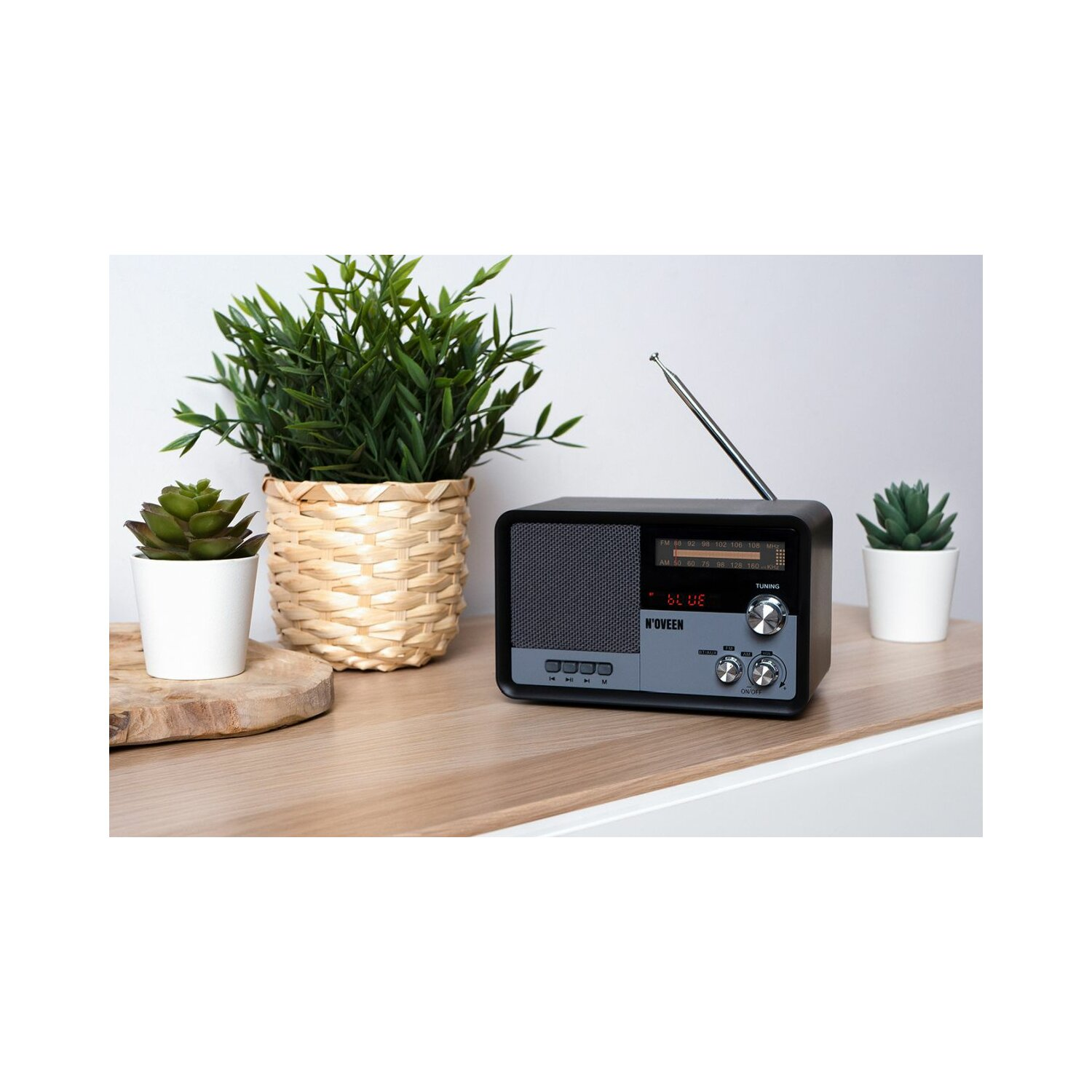 Schwarz-graues Radio mit Pflanze und Sukkulente daneben auf Holzoberfläche.