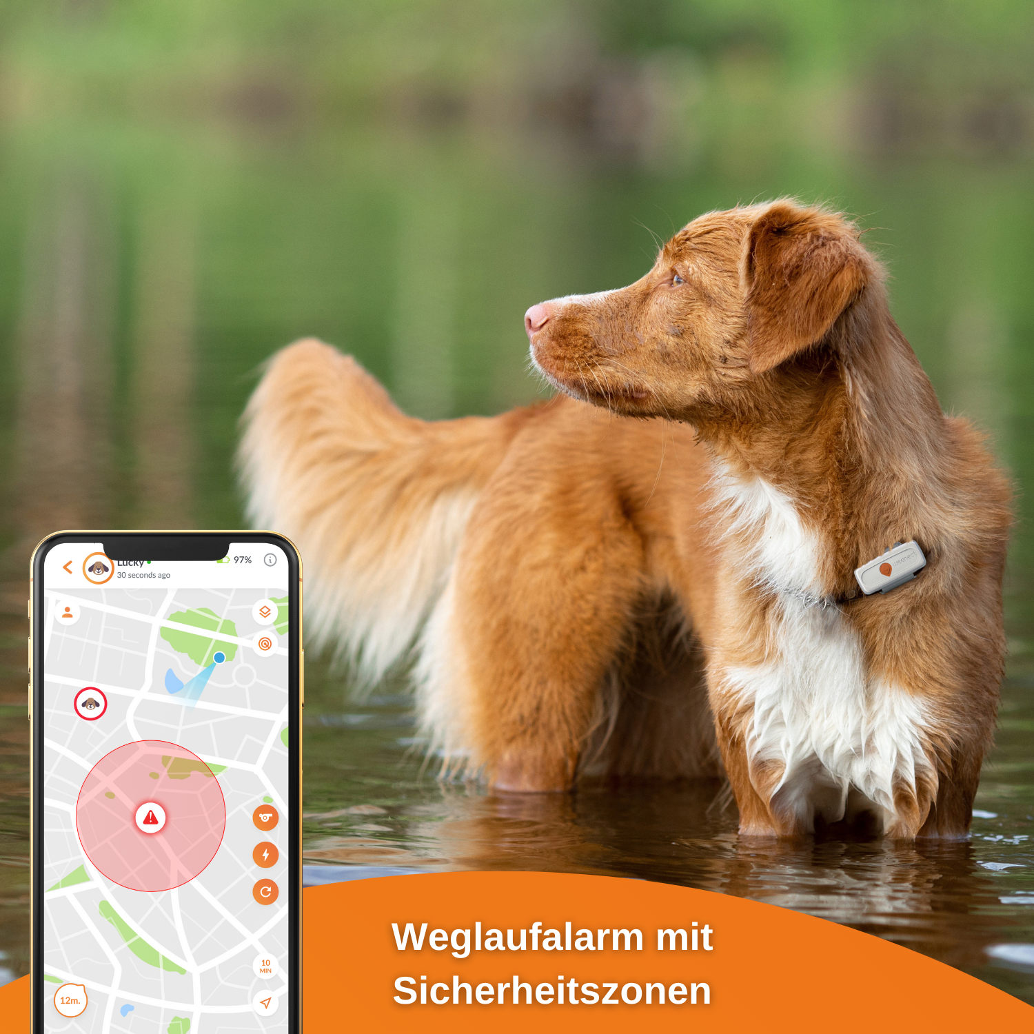 WEENECT Dog XS GPS Hunde Tracker für