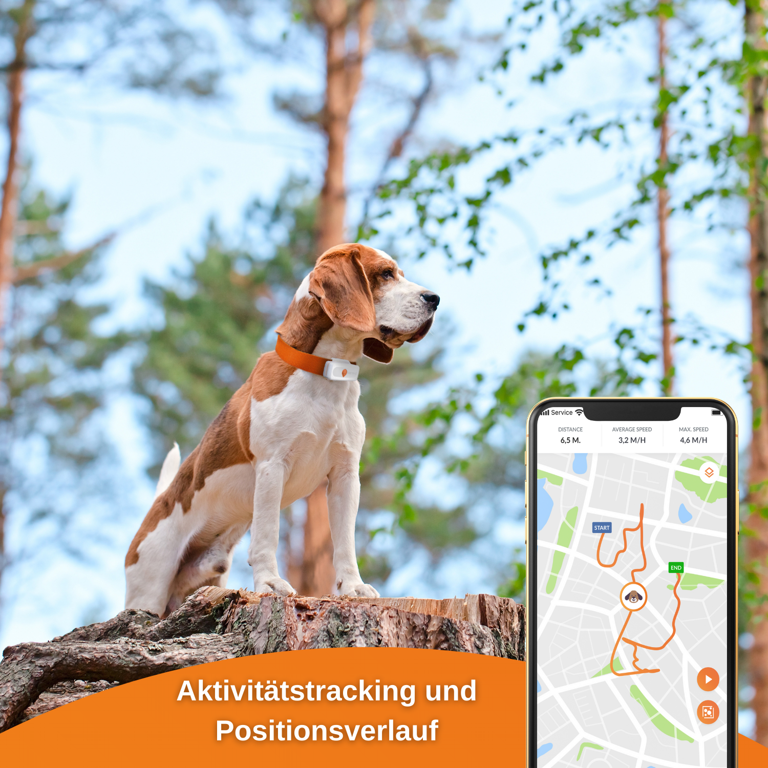 GPS Hunde für XS Dog Tracker WEENECT