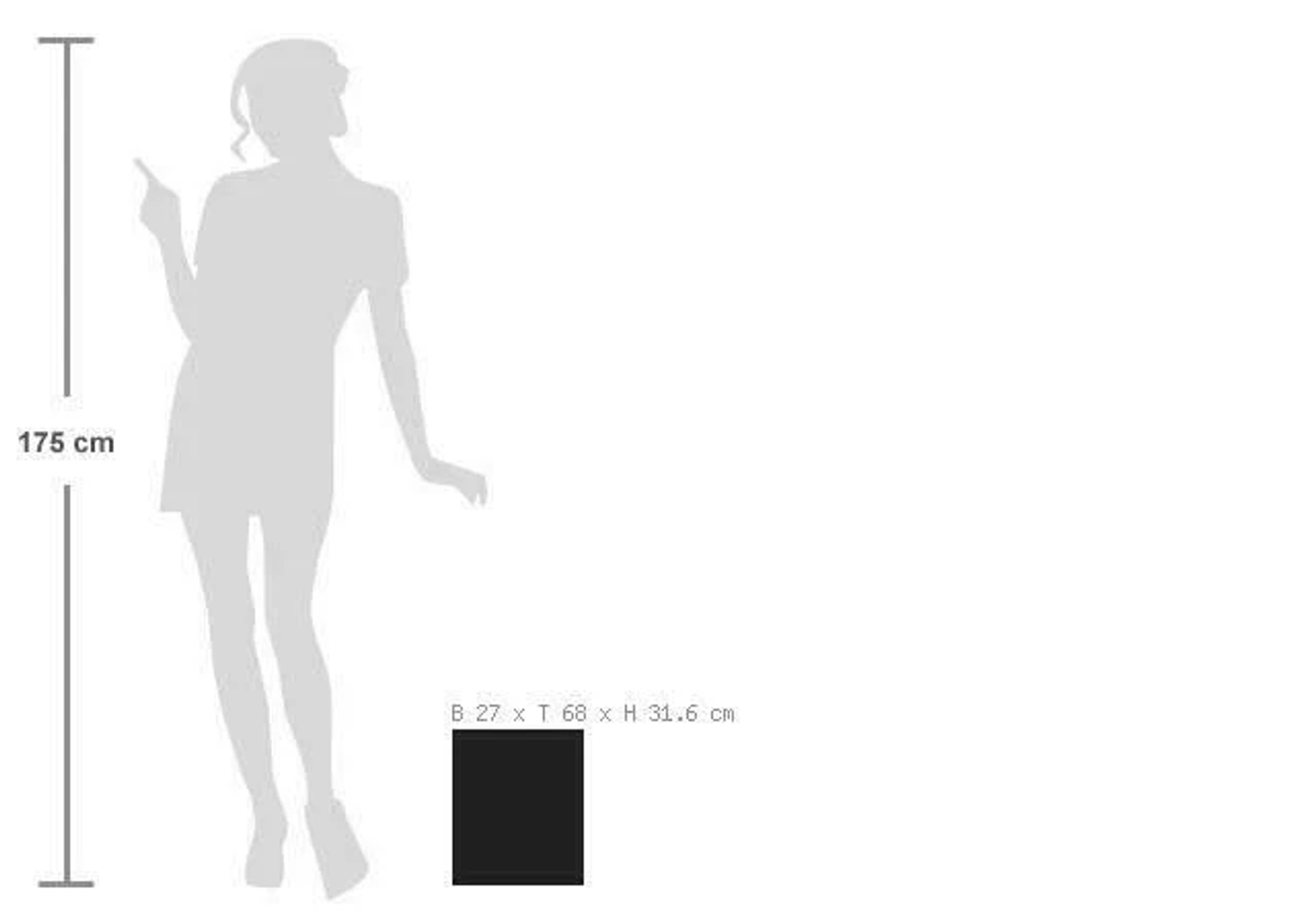 Silhouette di una donna che indica. Scatola nera a terra. Sfondo bianco.