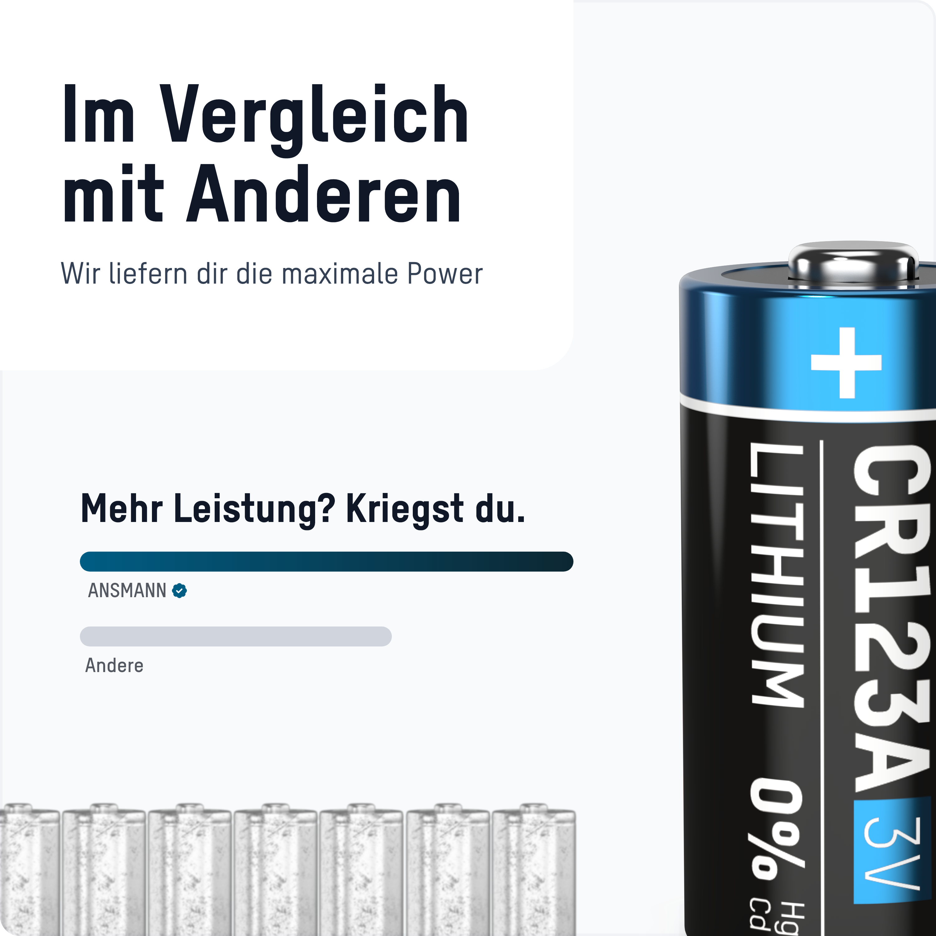 Zwei schwarze USB-C-Kabel. Auf den Steckern steht das Wort 'SWISSTECH'.